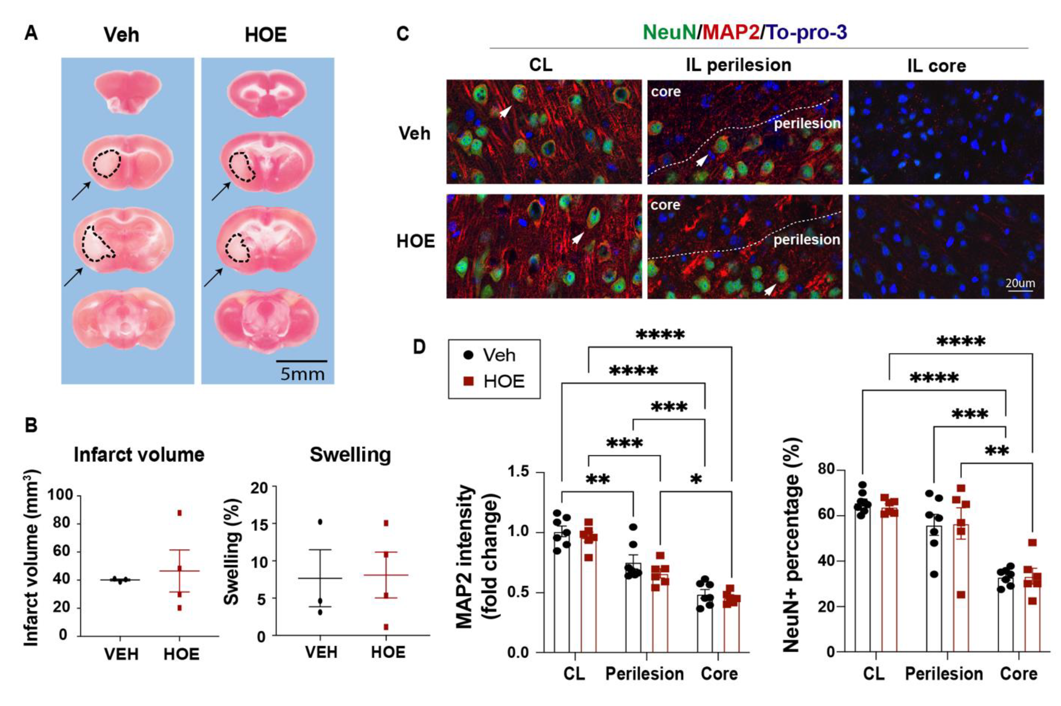 Preprints 82300 g002