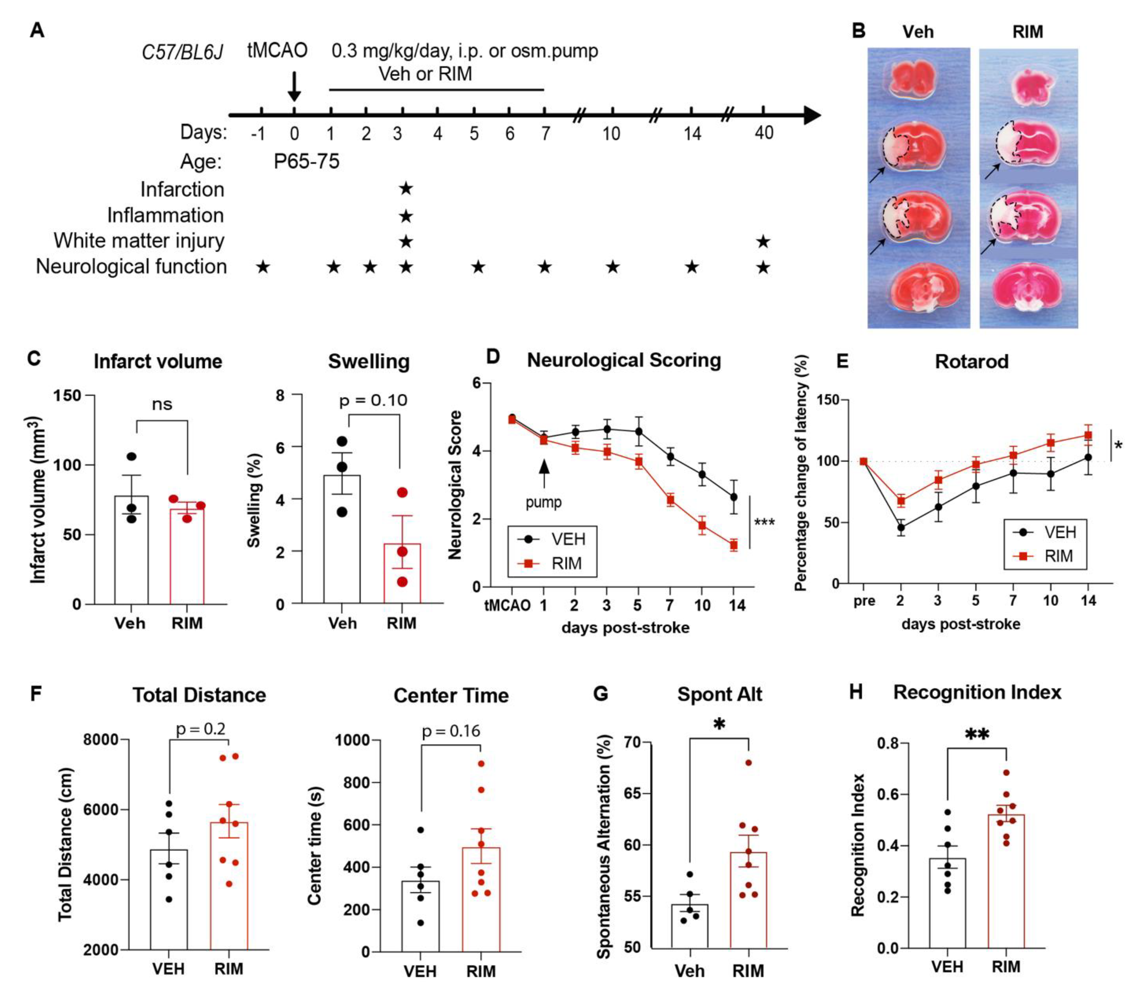 Preprints 82300 g004