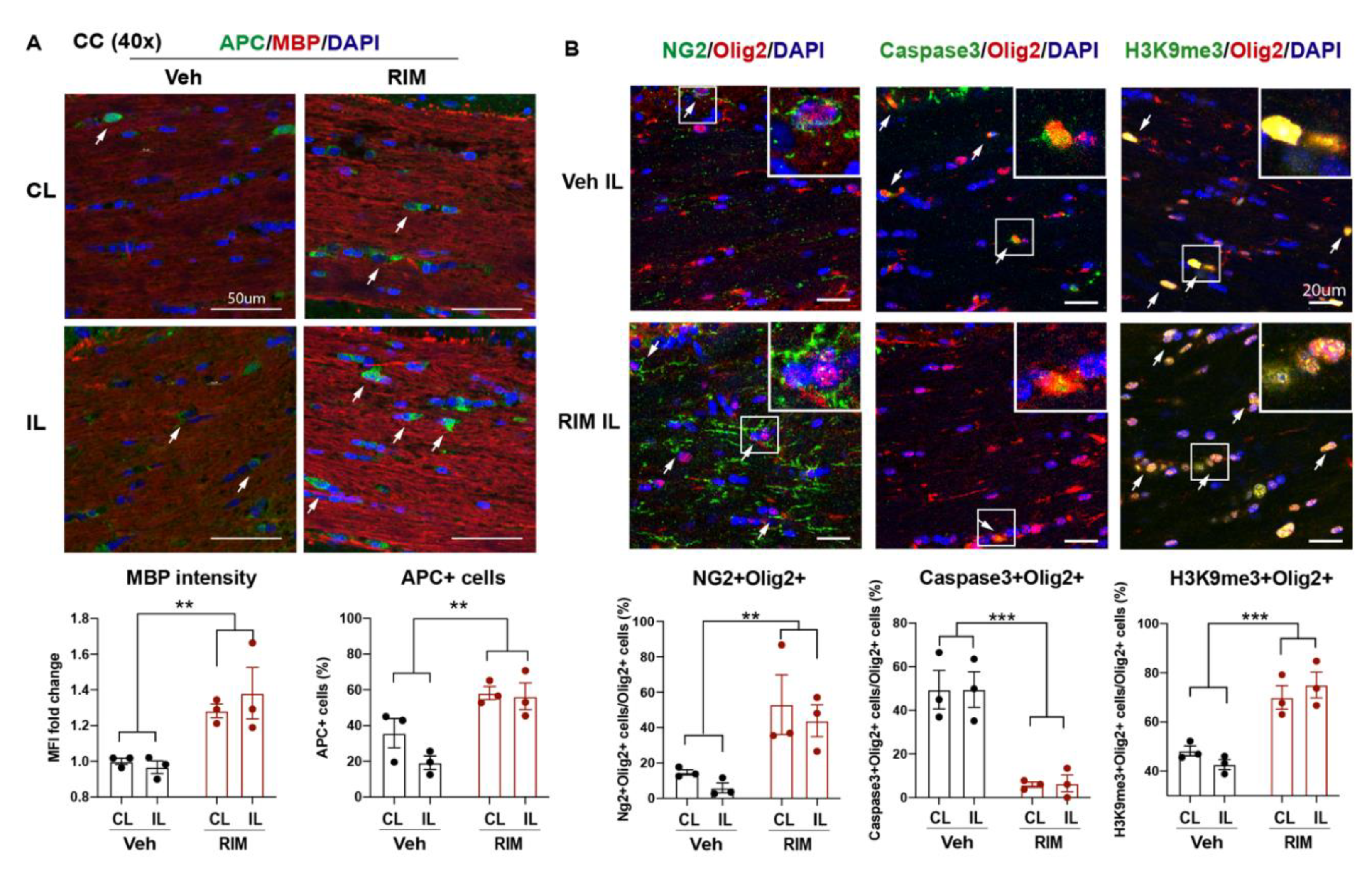 Preprints 82300 g005