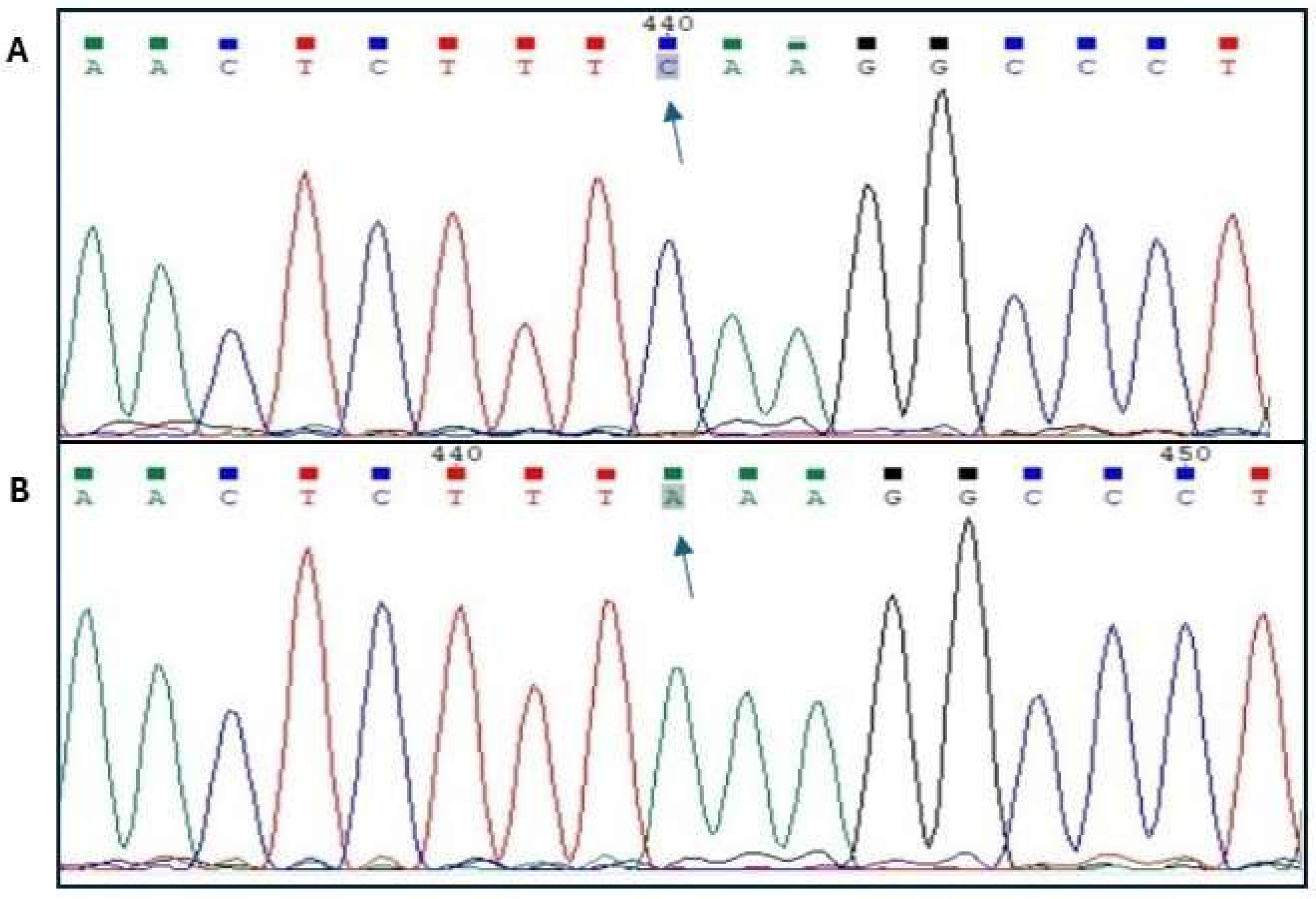 Preprints 120840 g001