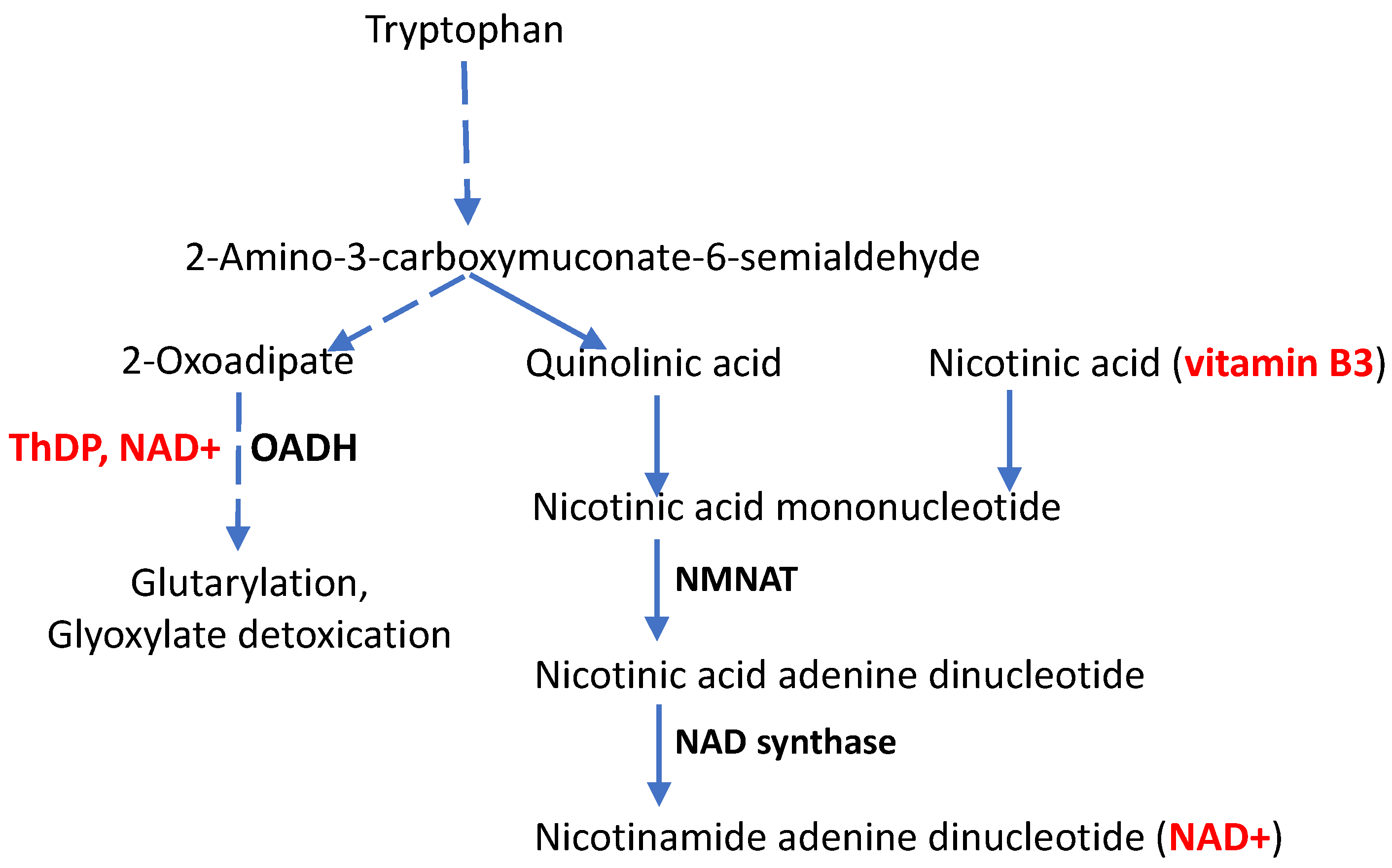 Preprints 71876 g002