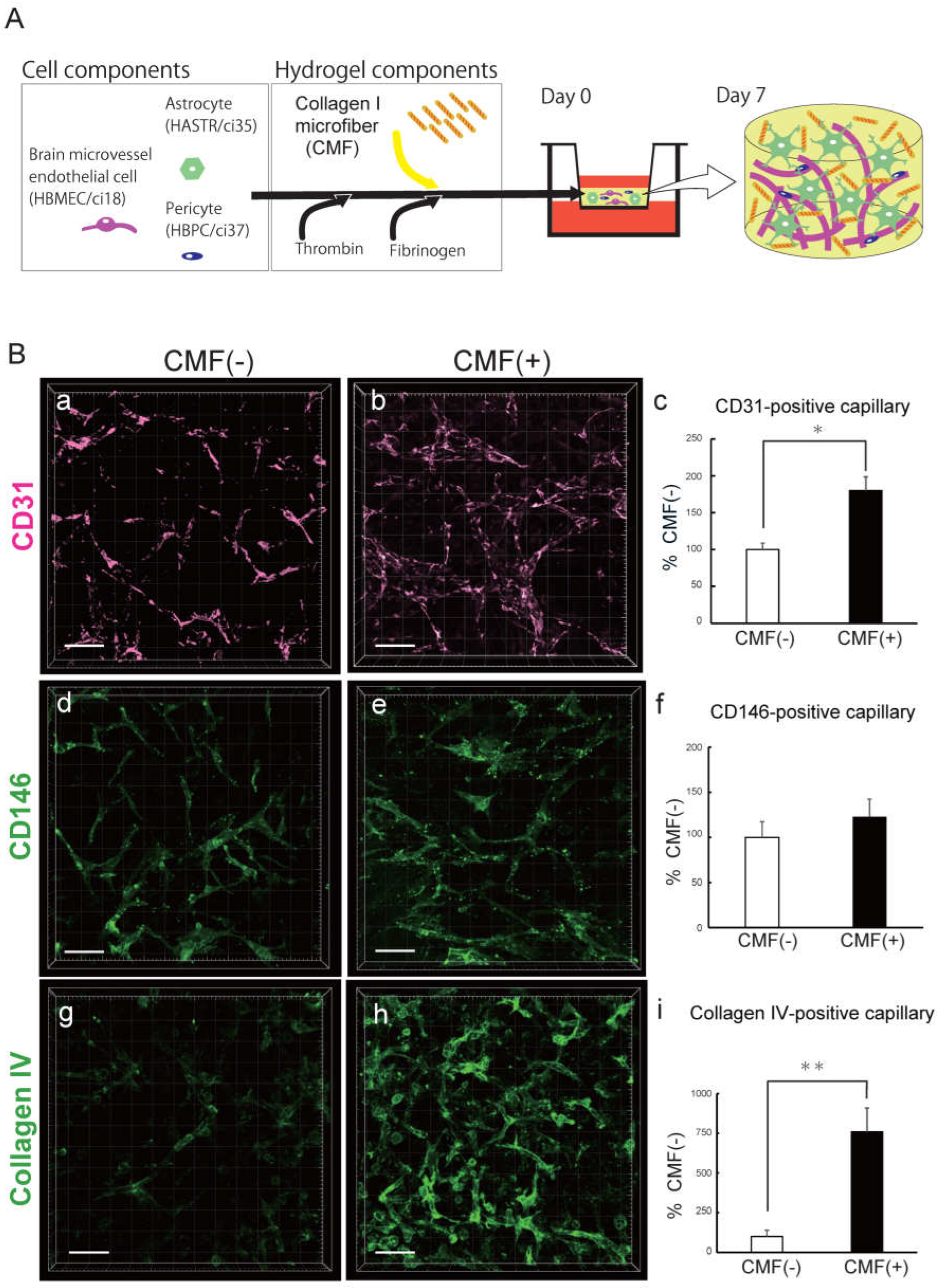 Preprints 119542 g001