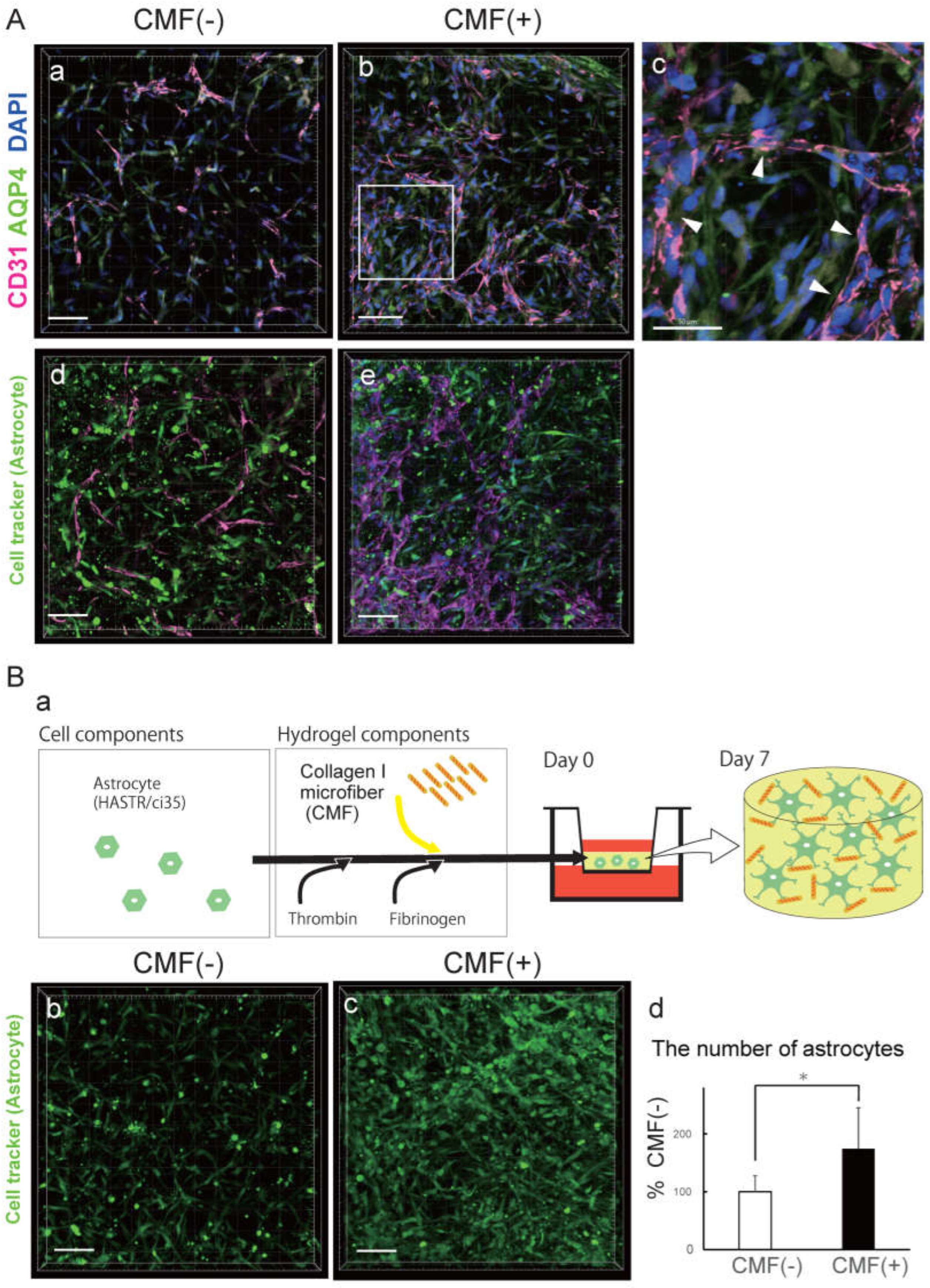 Preprints 119542 g002