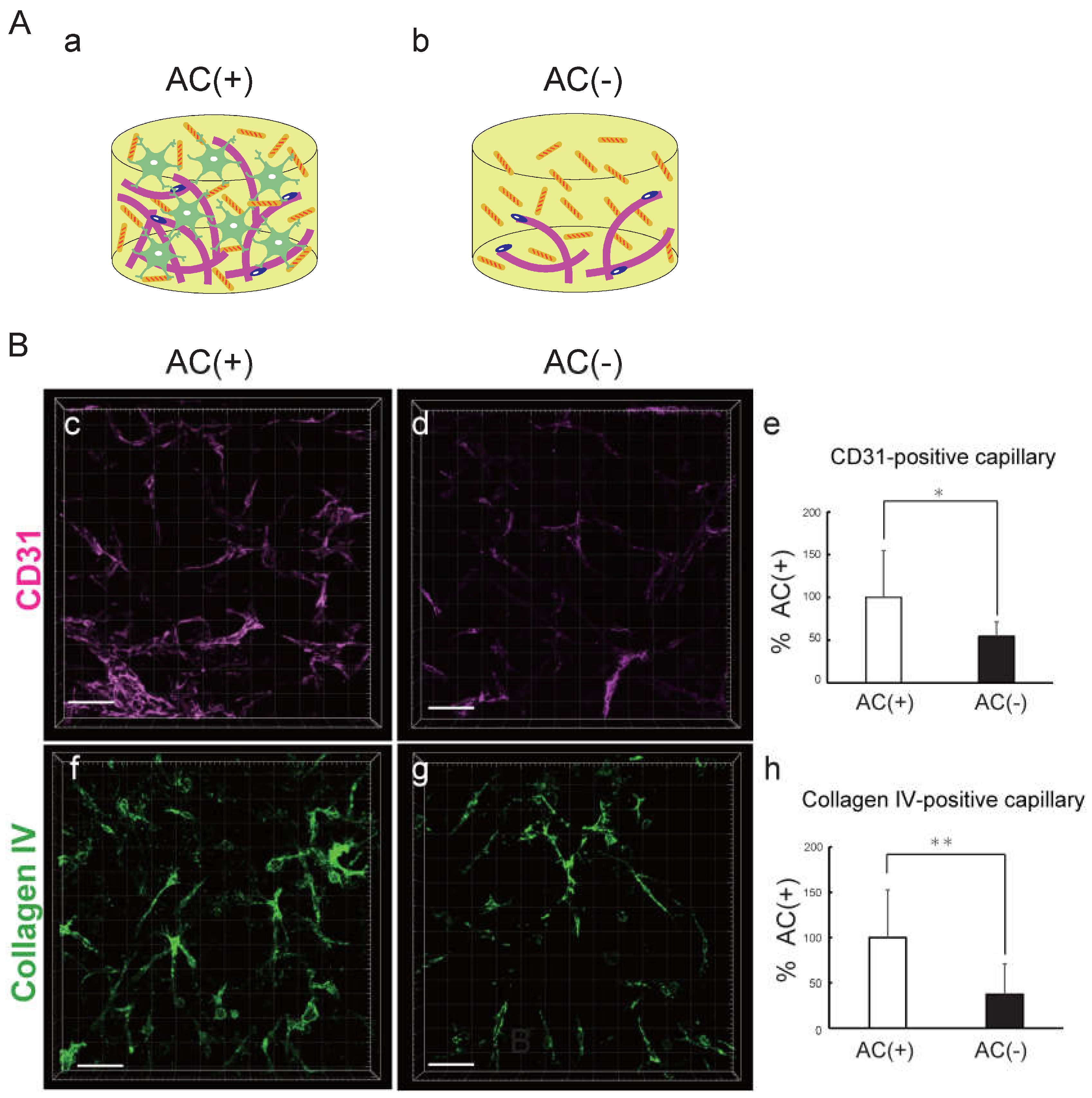 Preprints 119542 g003