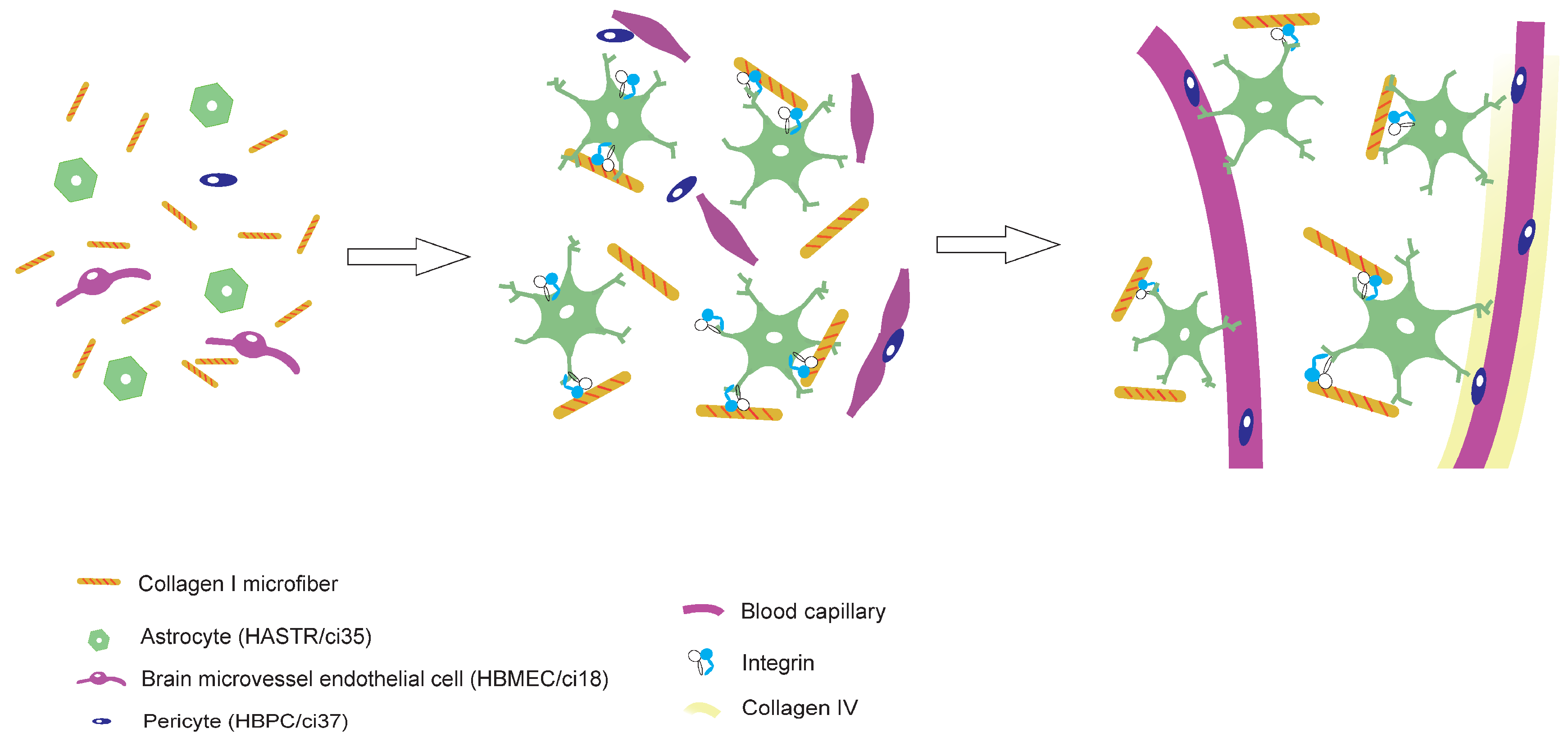 Preprints 119542 g005