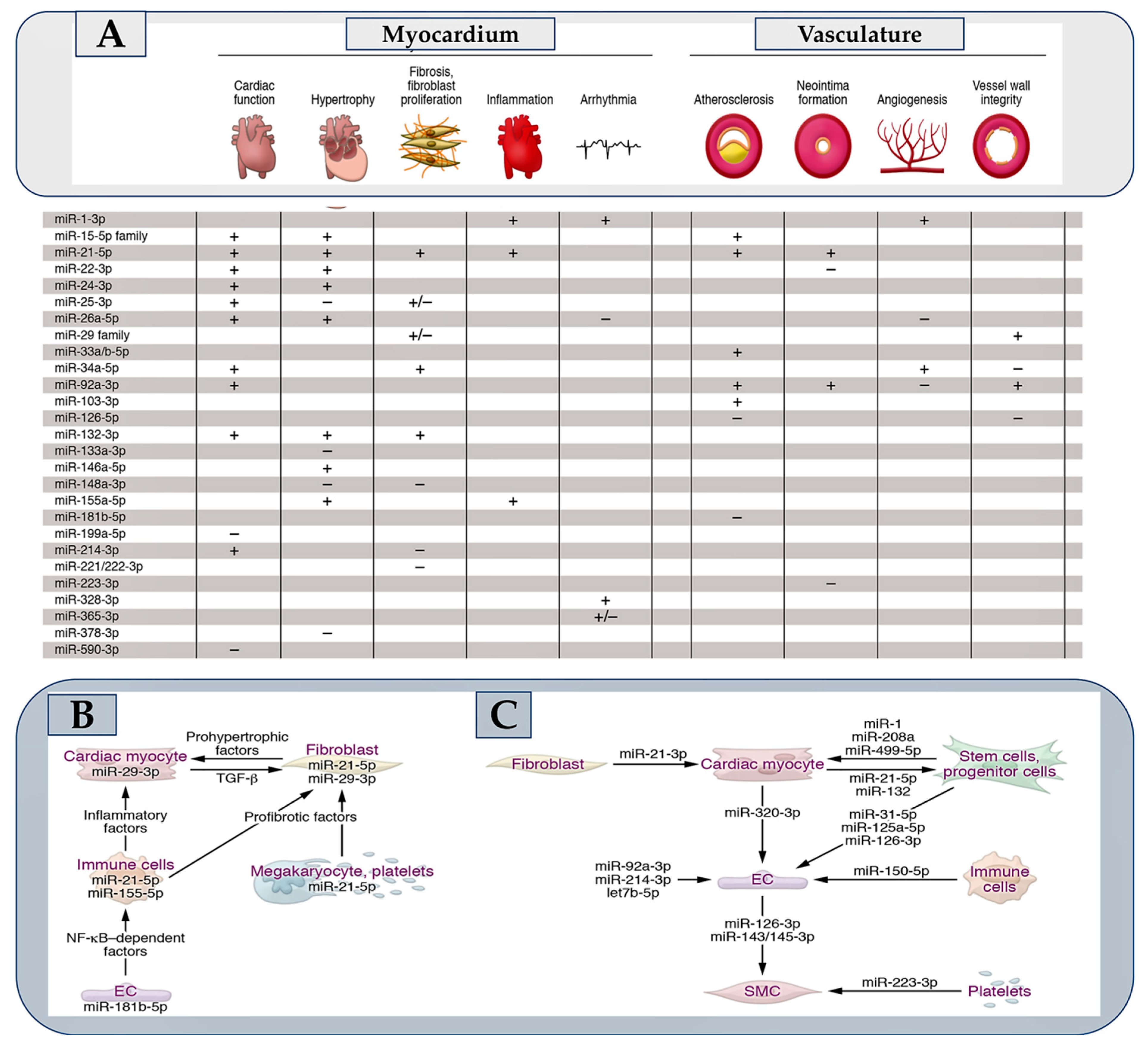 Preprints 80464 g002