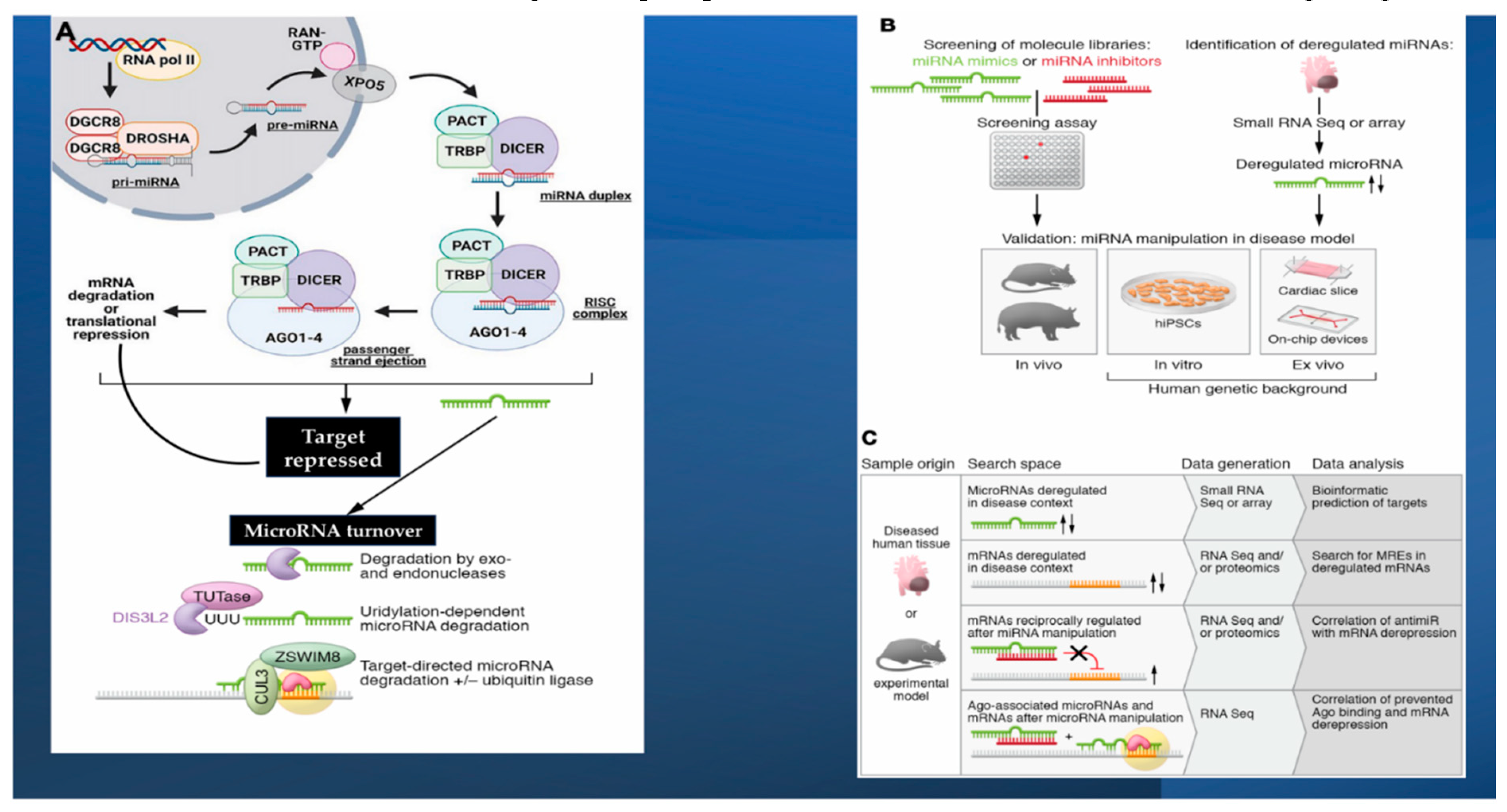 Preprints 80464 g003