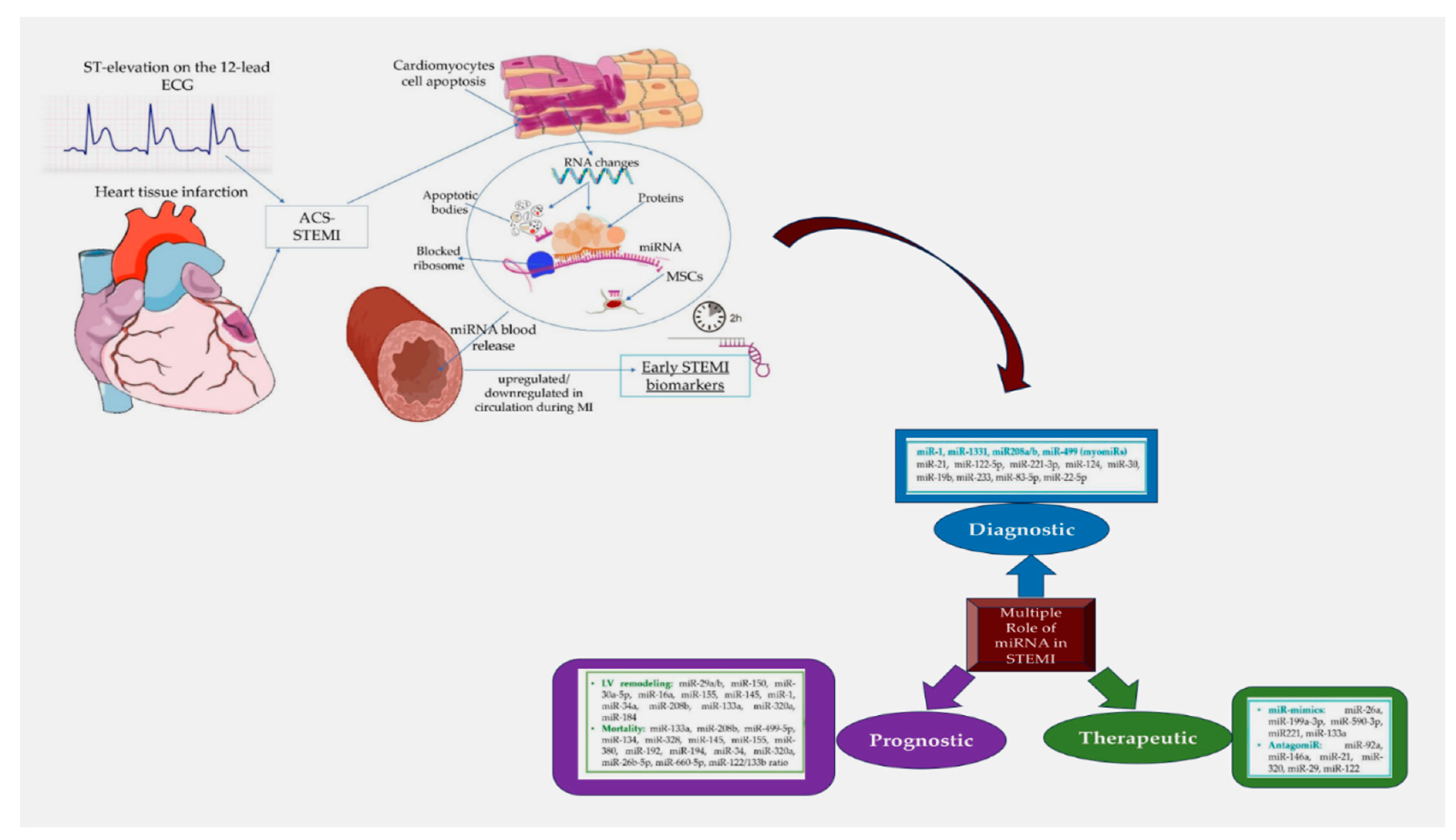 Preprints 80464 g004