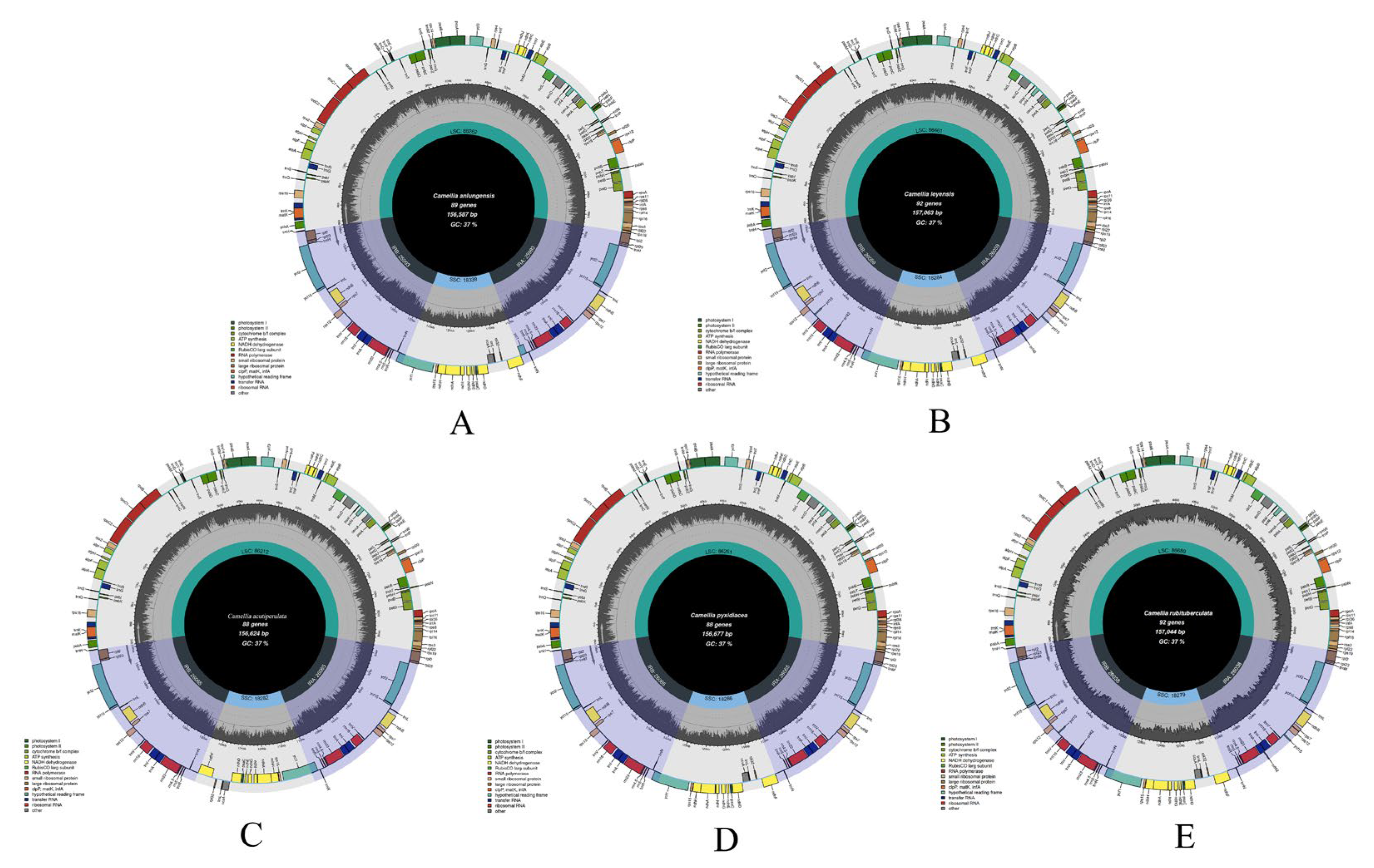 Preprints 116975 g003