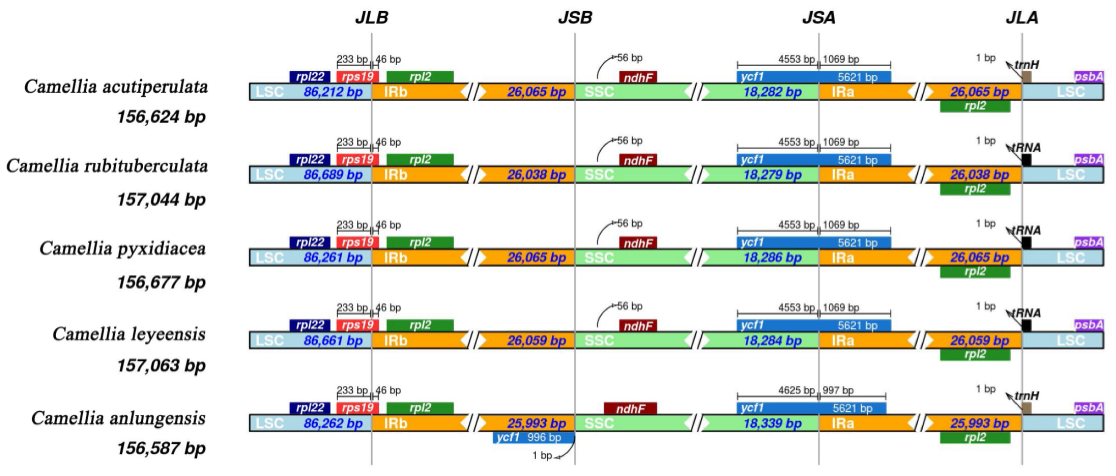 Preprints 116975 g004