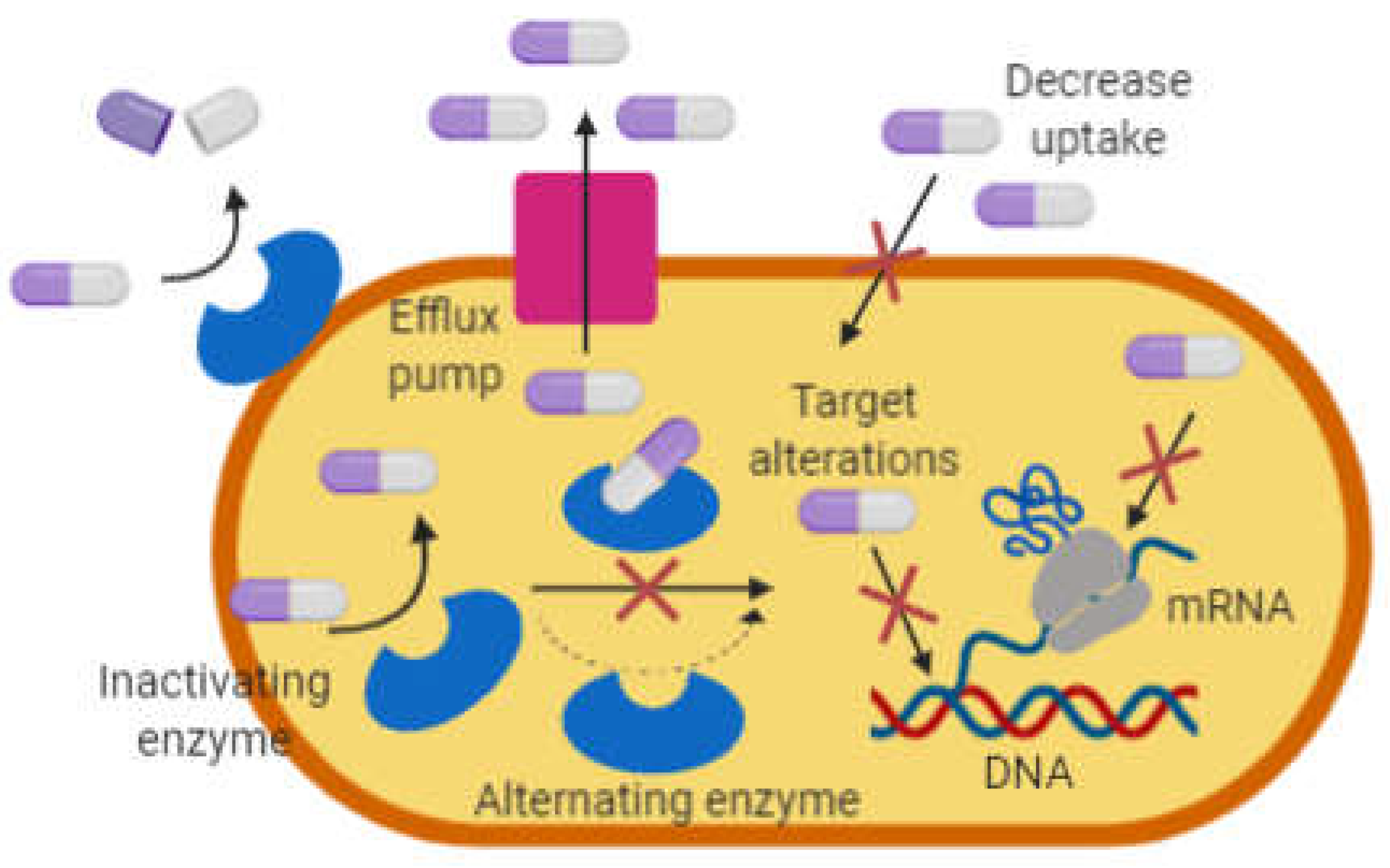 Preprints 71334 g001