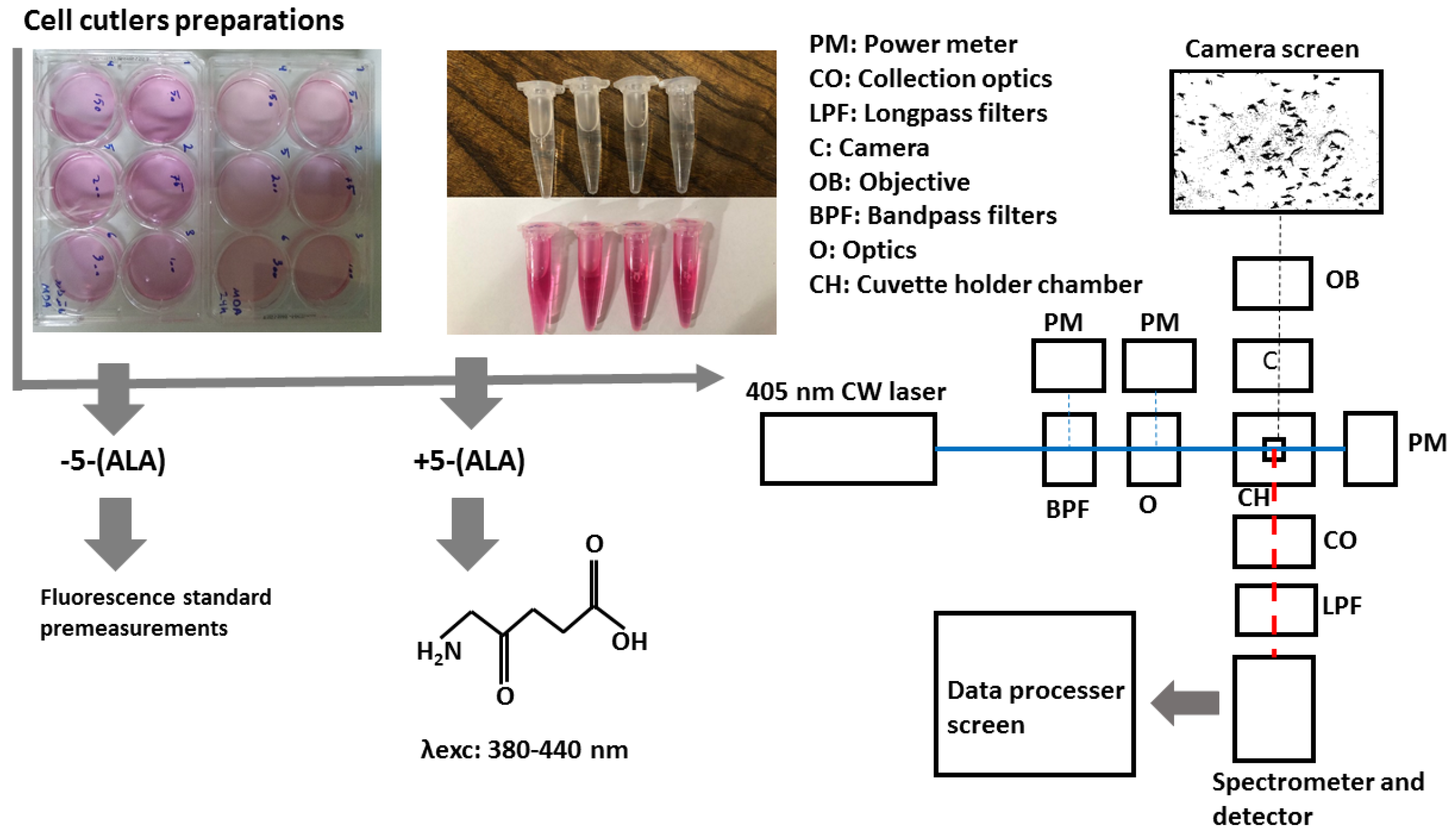 Preprints 109630 g001