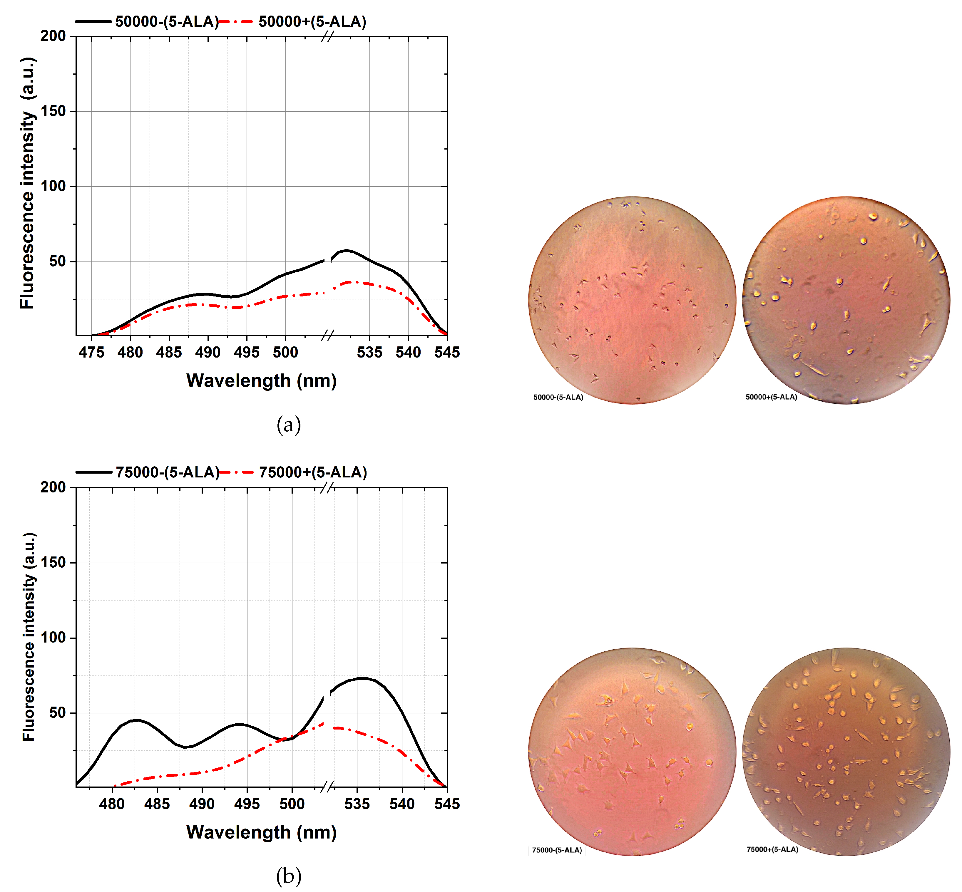 Preprints 109630 g006a