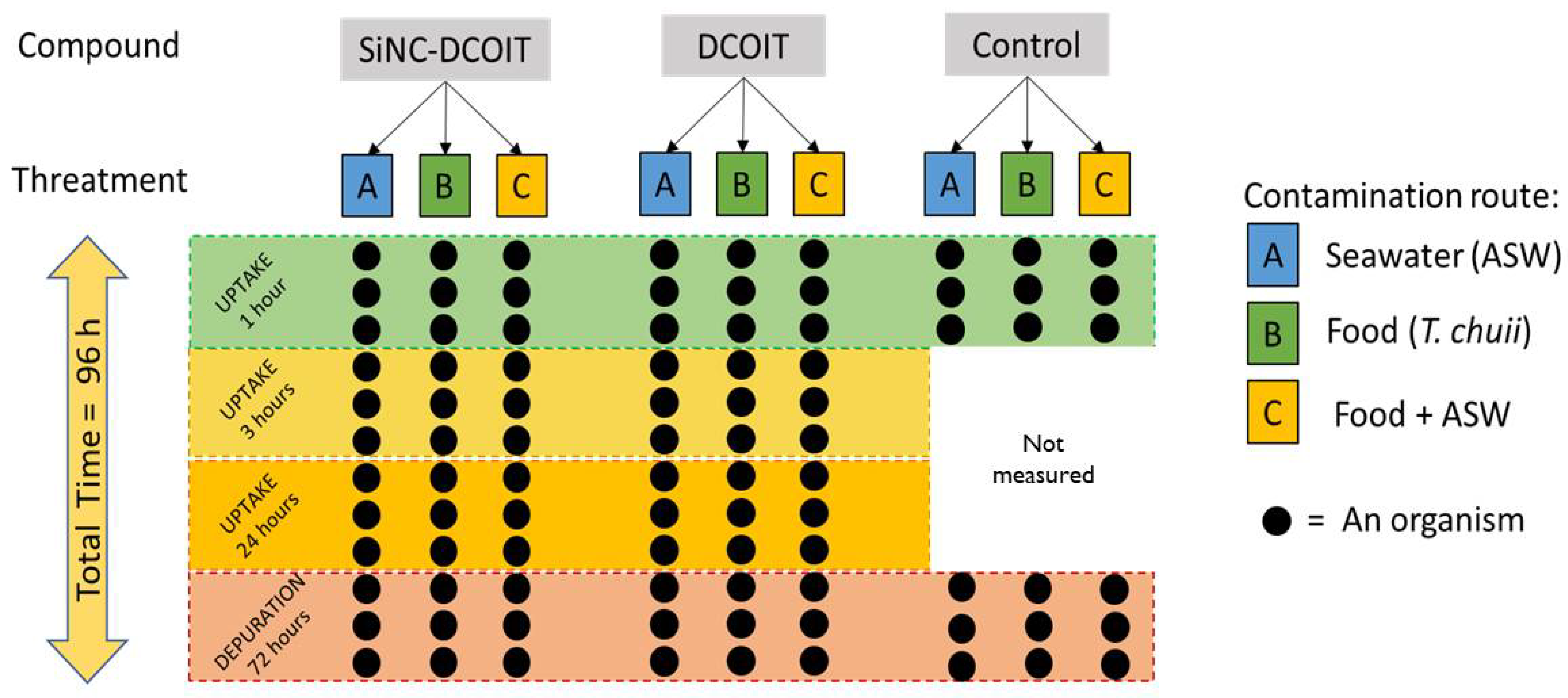 Preprints 98402 g001