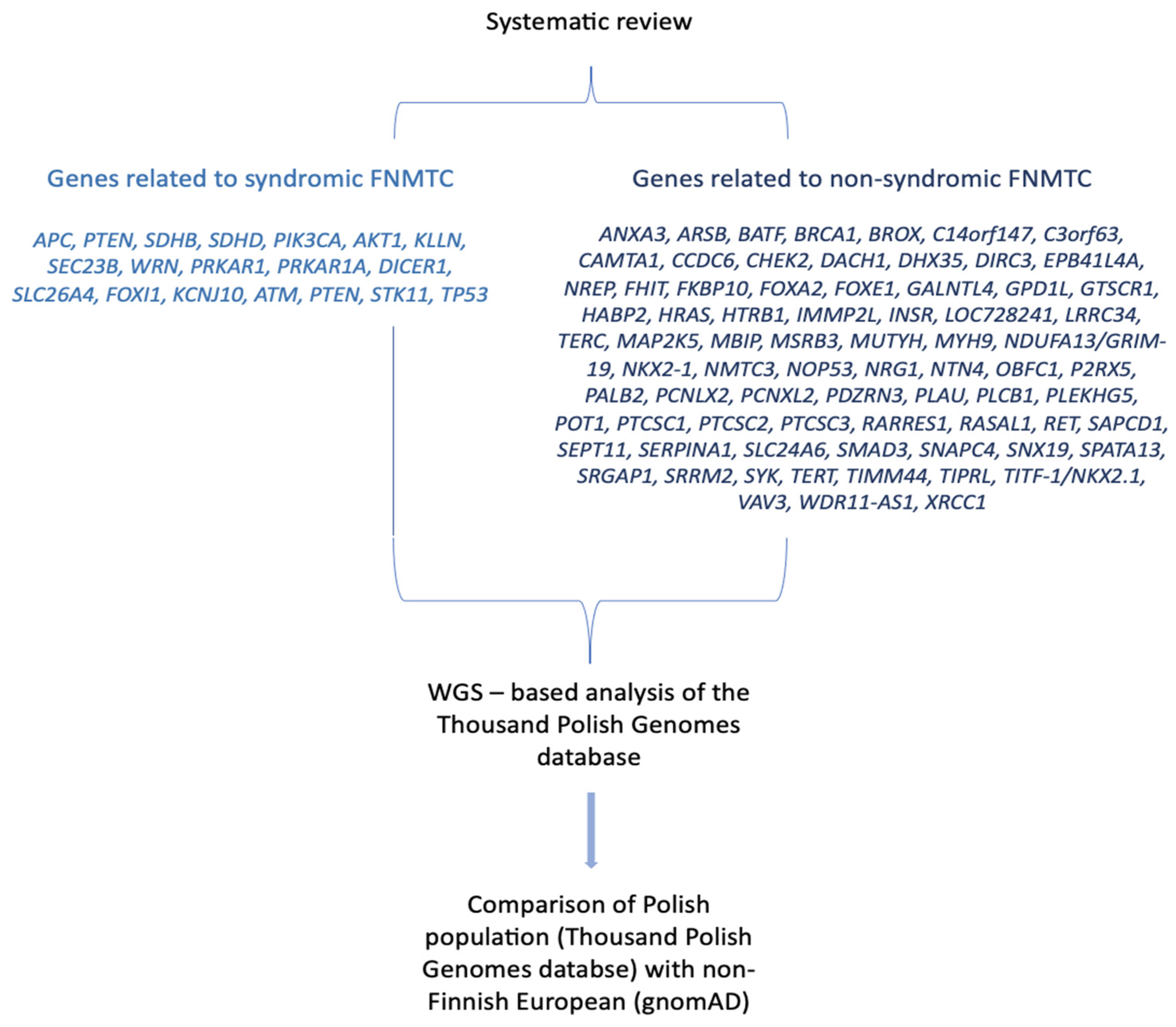 Preprints 84370 g002