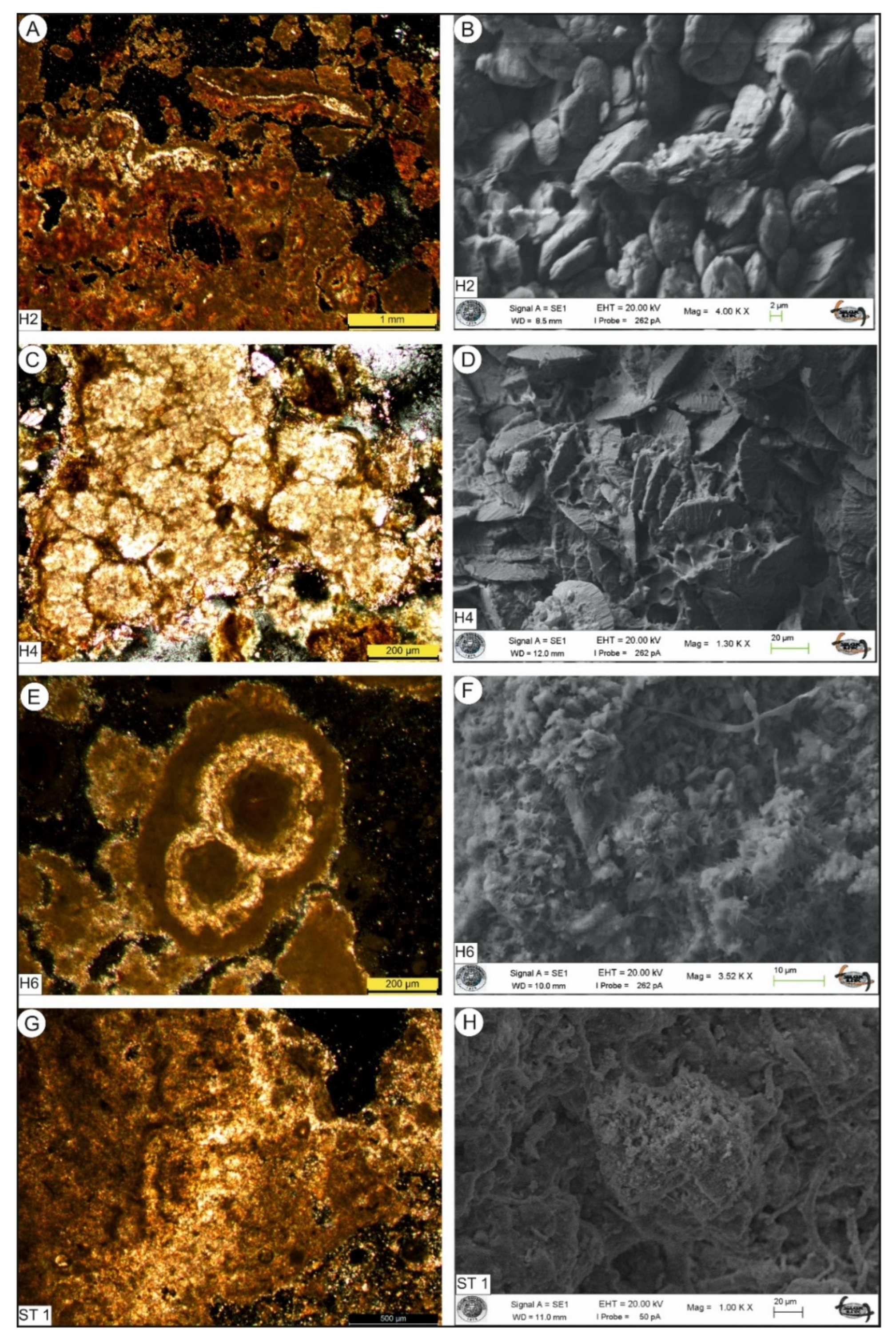 Preprints 92279 g005