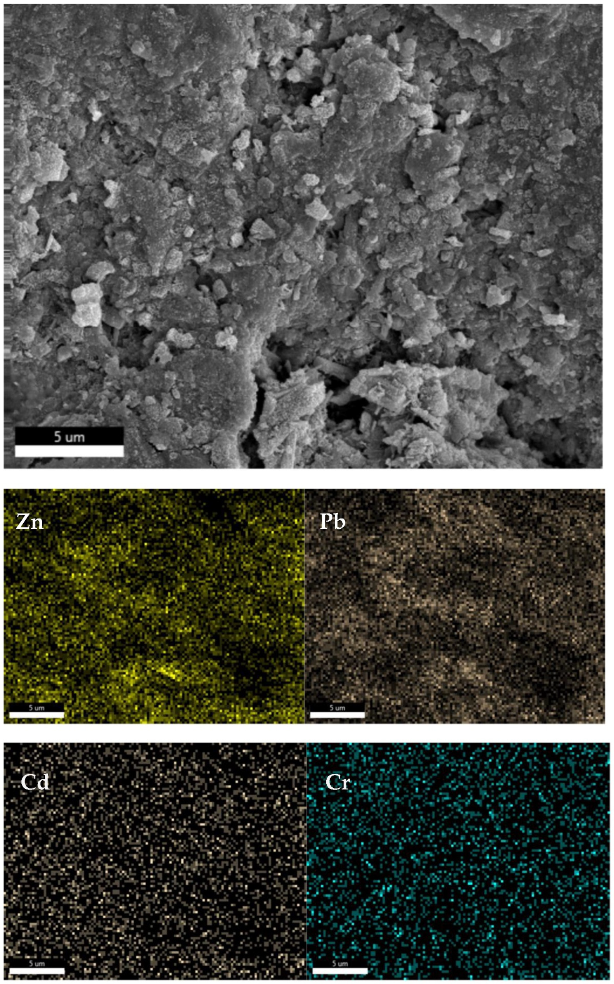 Preprints 81637 g012