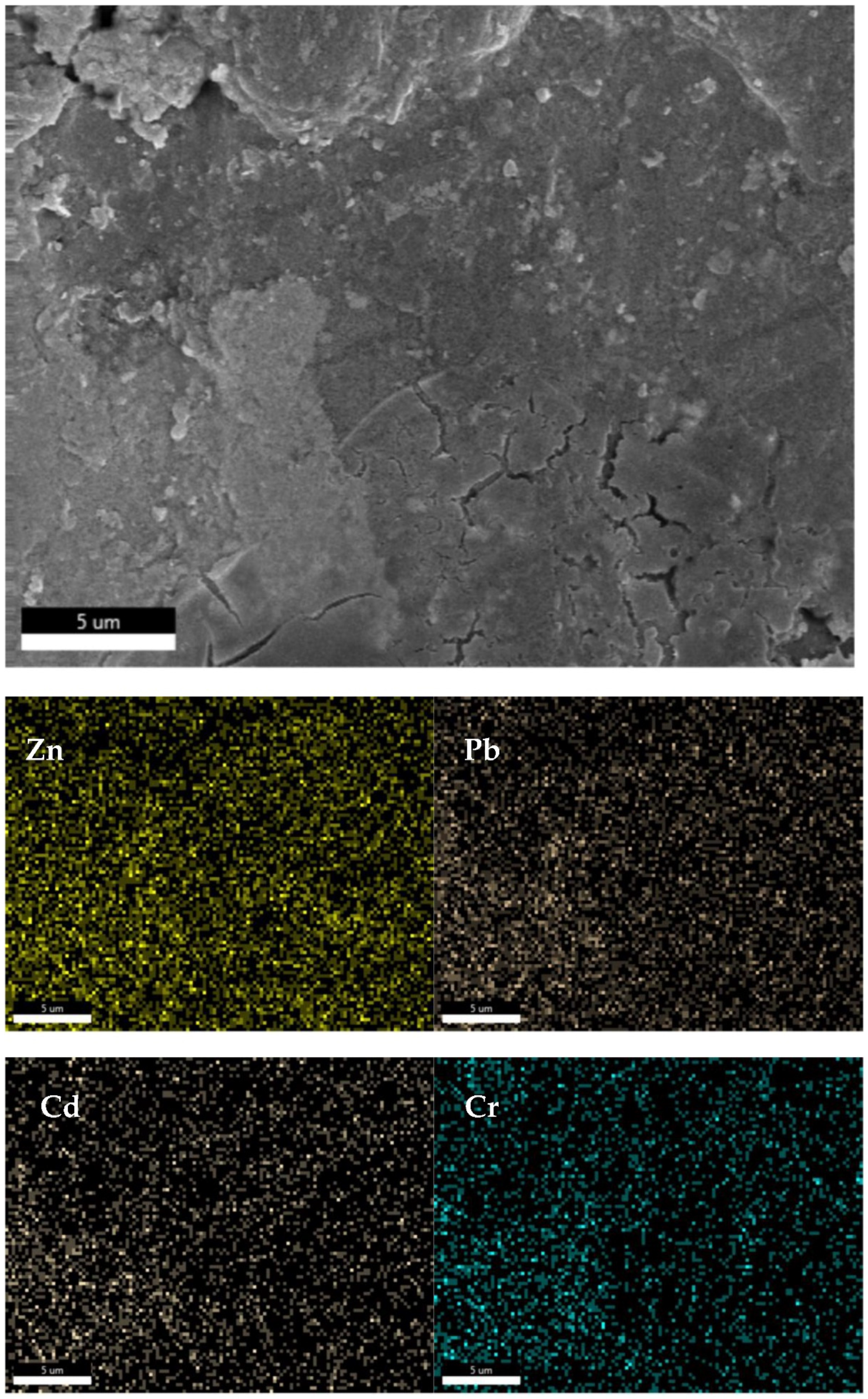 Preprints 81637 g013