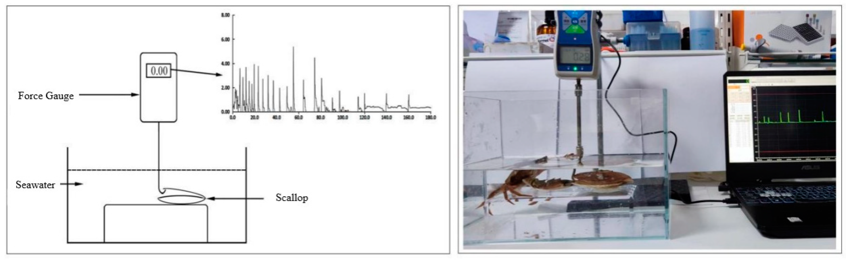 Preprints 115077 g001