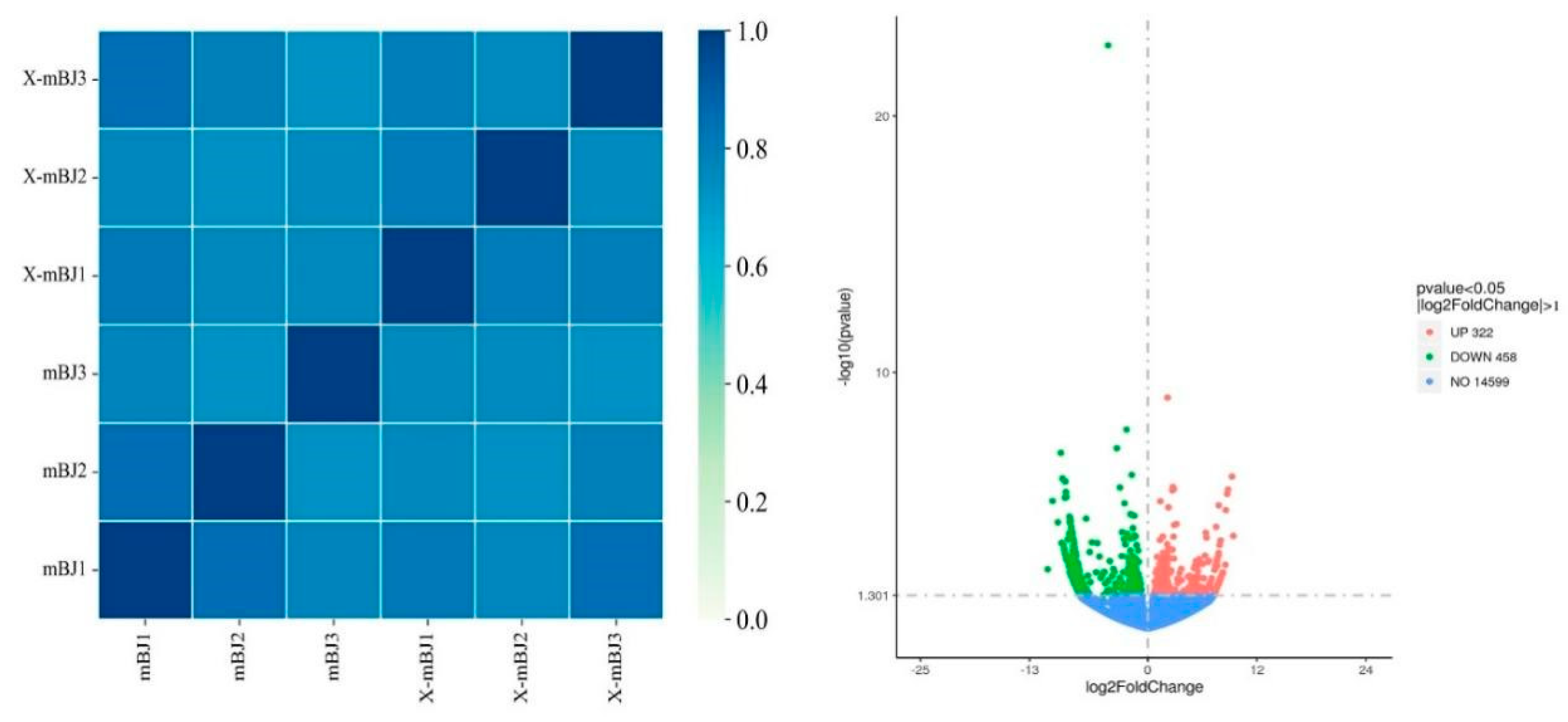 Preprints 115077 g007