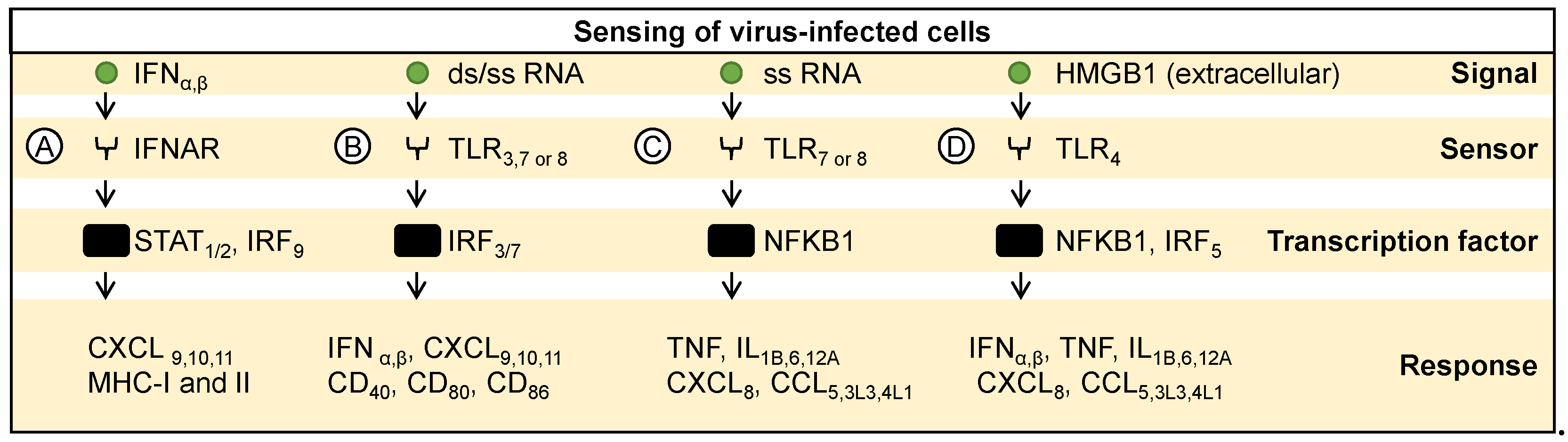 Preprints 102272 g002