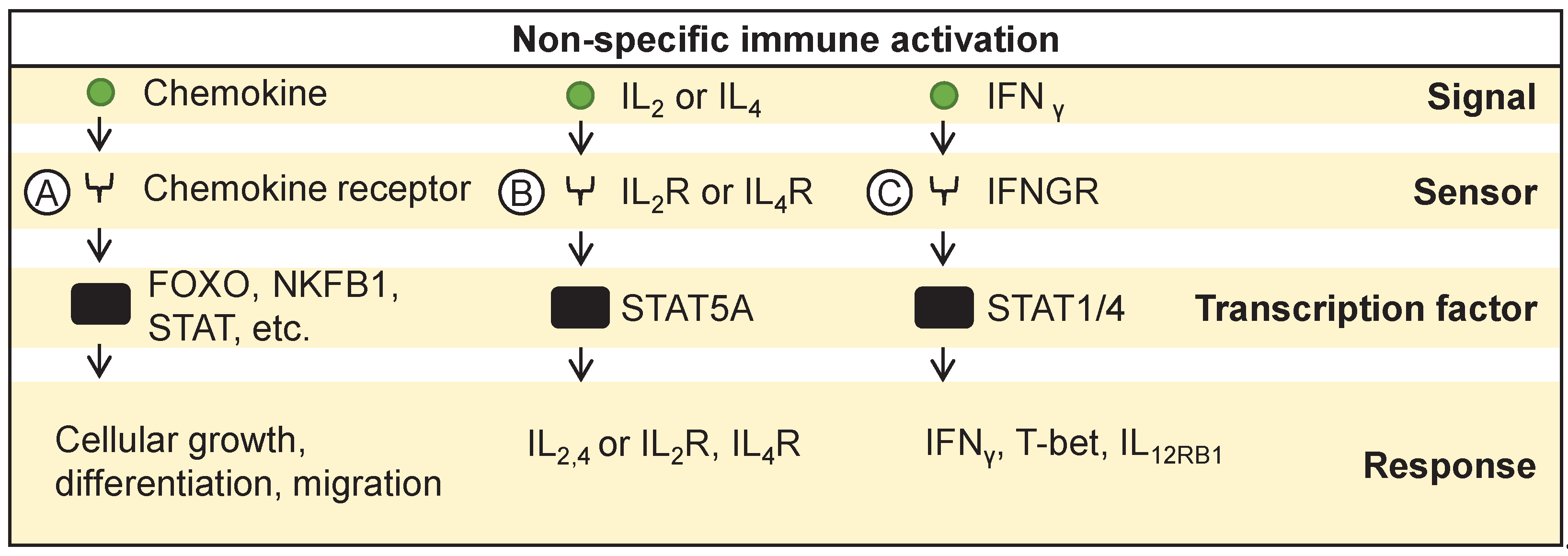 Preprints 102272 g003