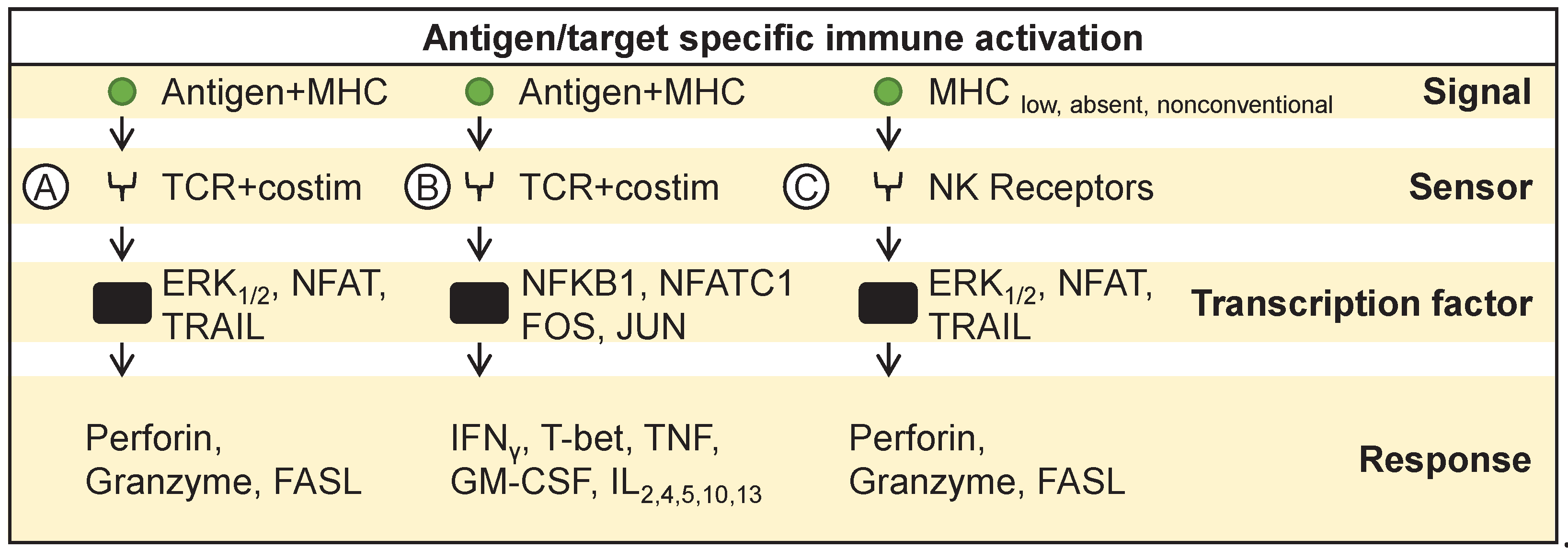 Preprints 102272 g004