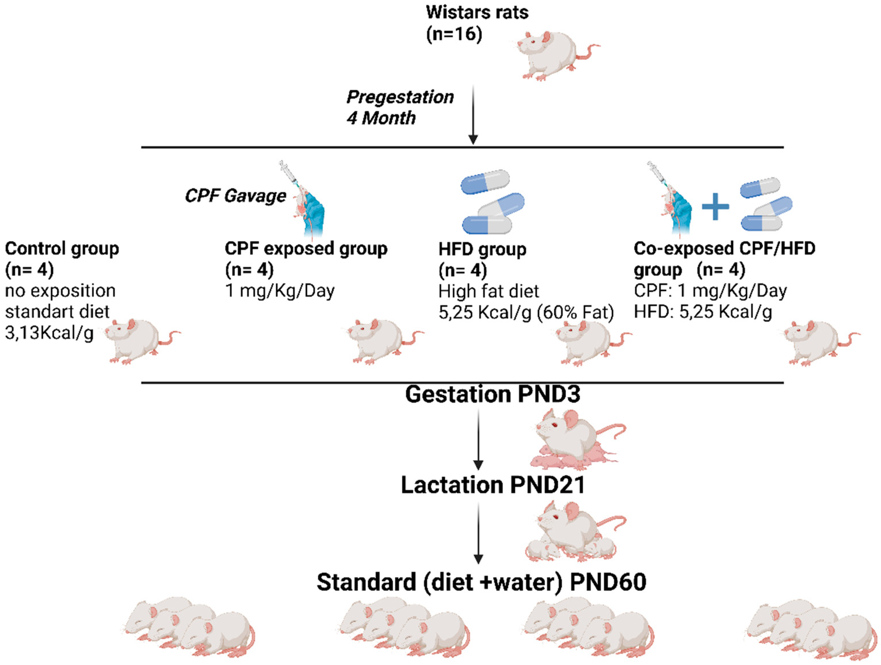 Preprints 83219 g001