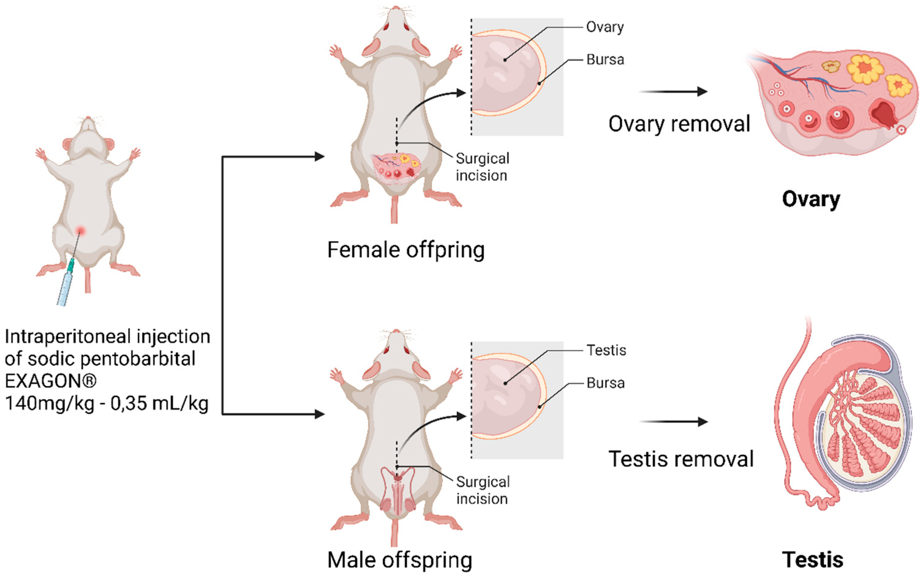 Preprints 83219 g002