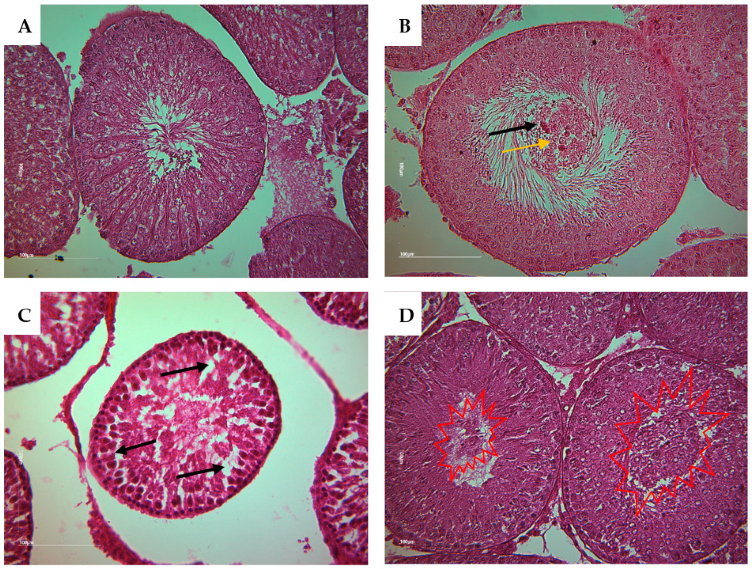 Preprints 83219 g008