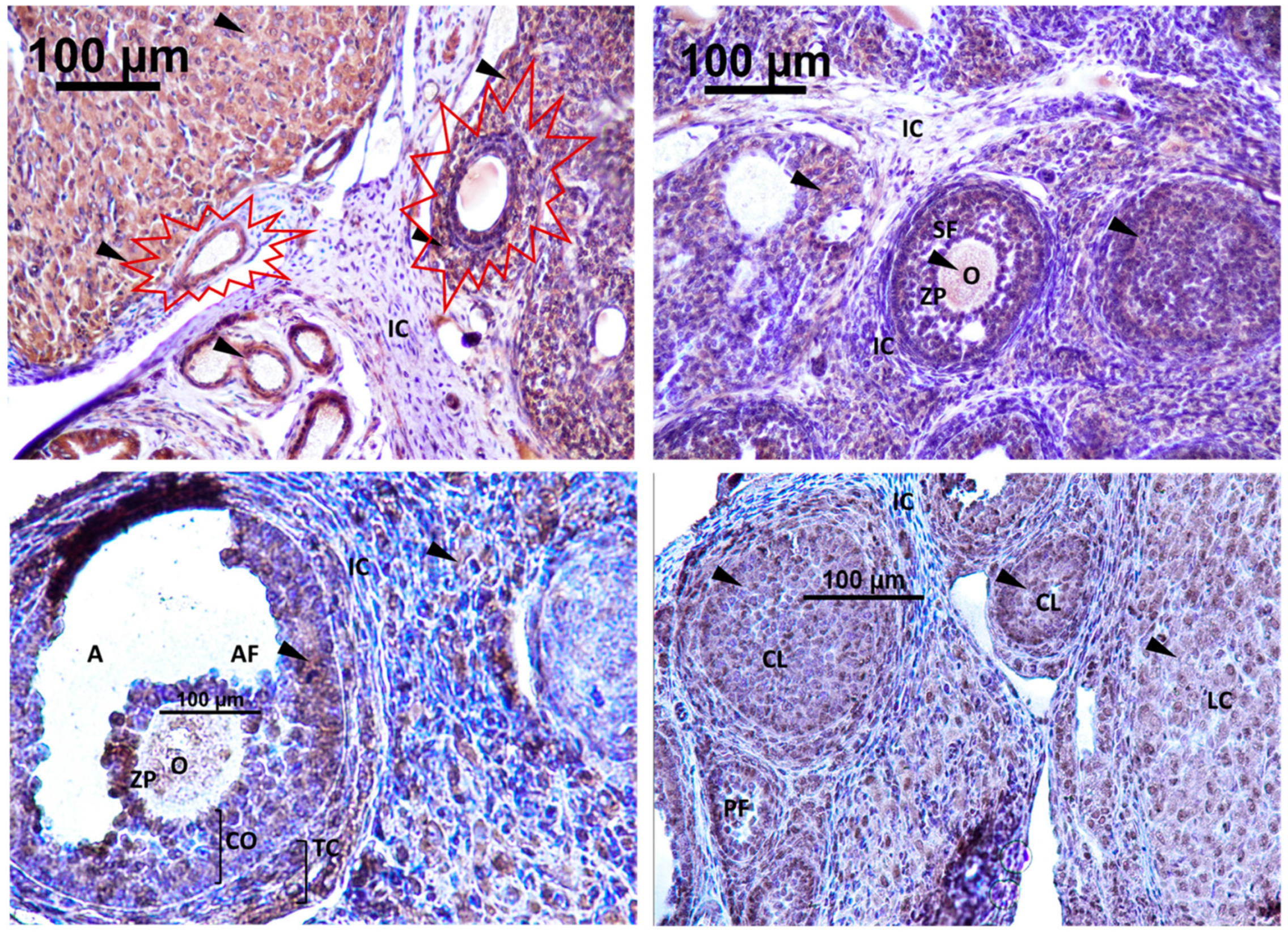 Preprints 83219 g009