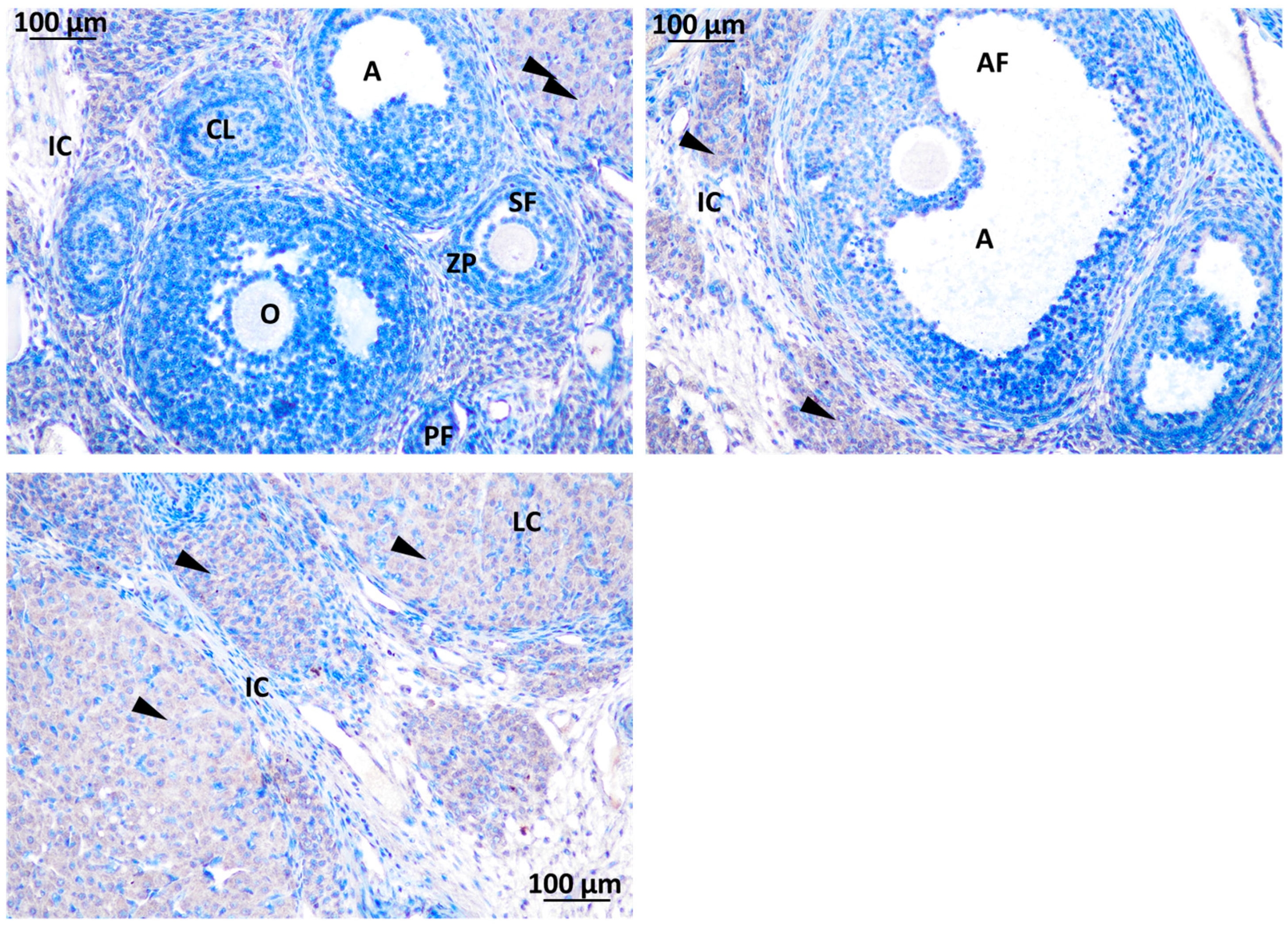 Preprints 83219 g010