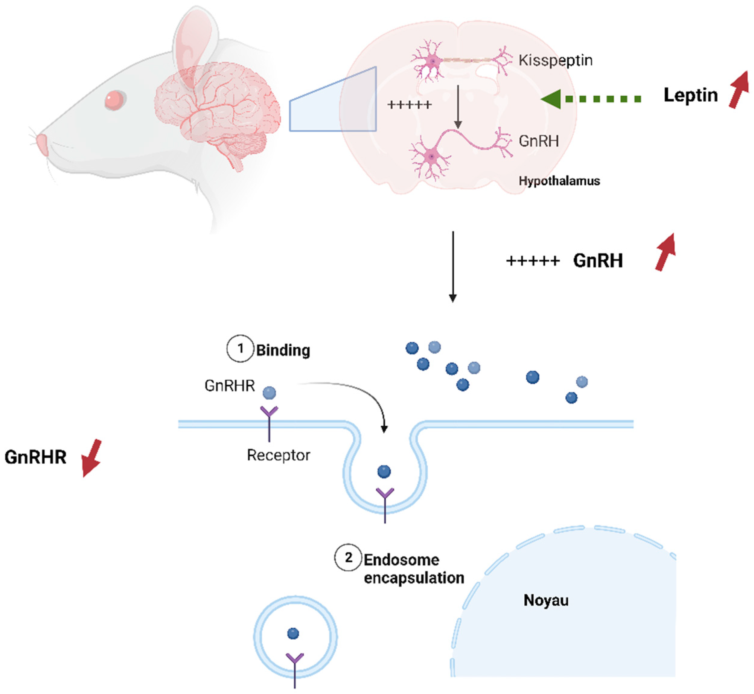 Preprints 83219 g015