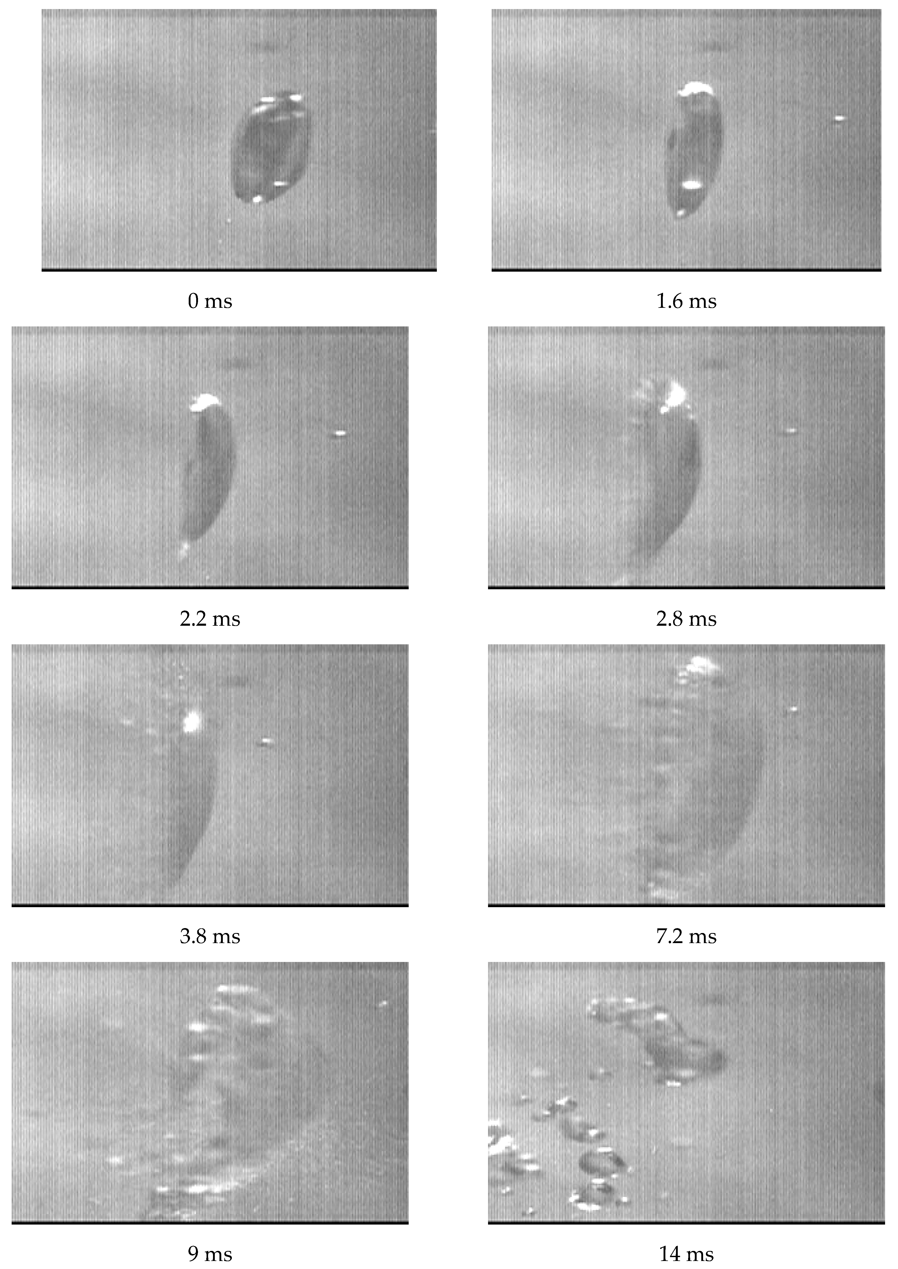 Preprints 90571 g005