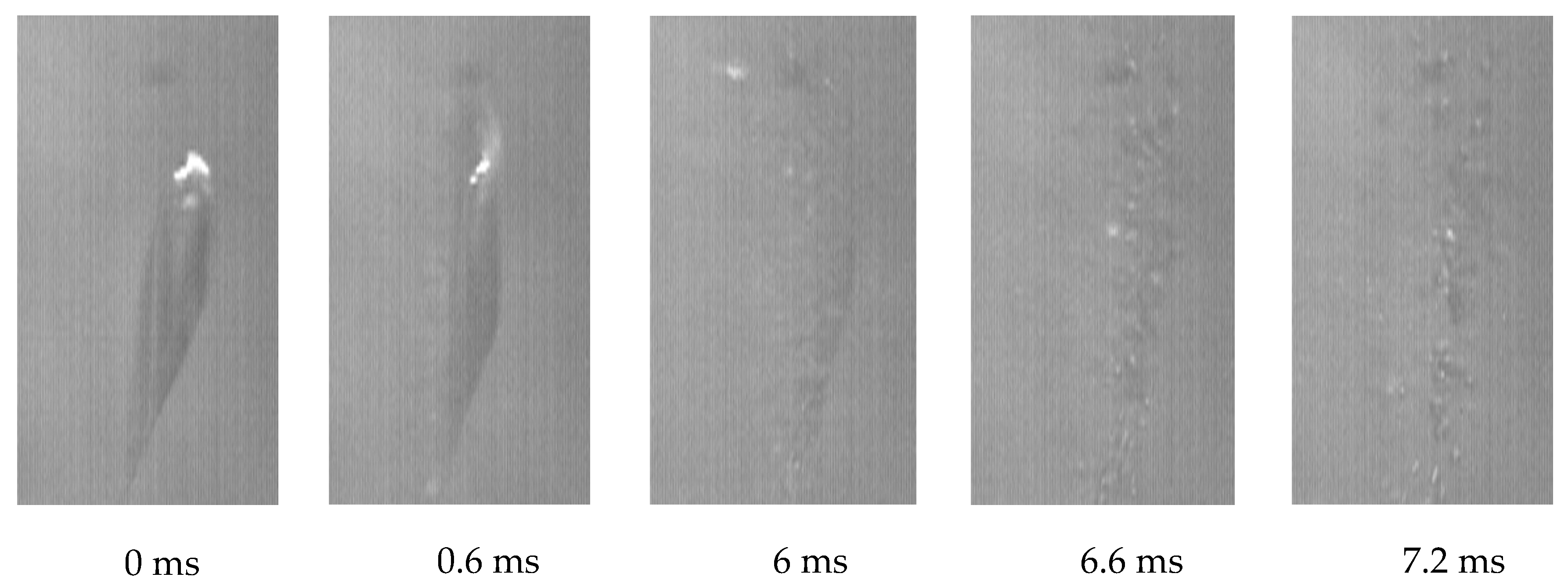 Preprints 90571 g006