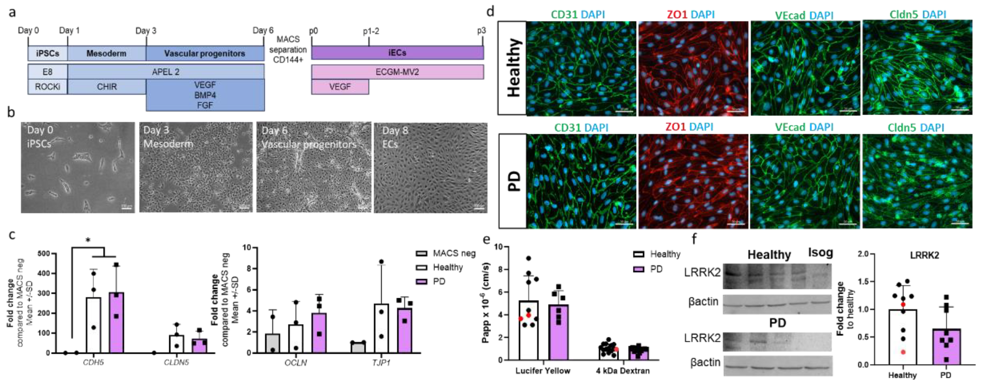 Preprints 120472 g001