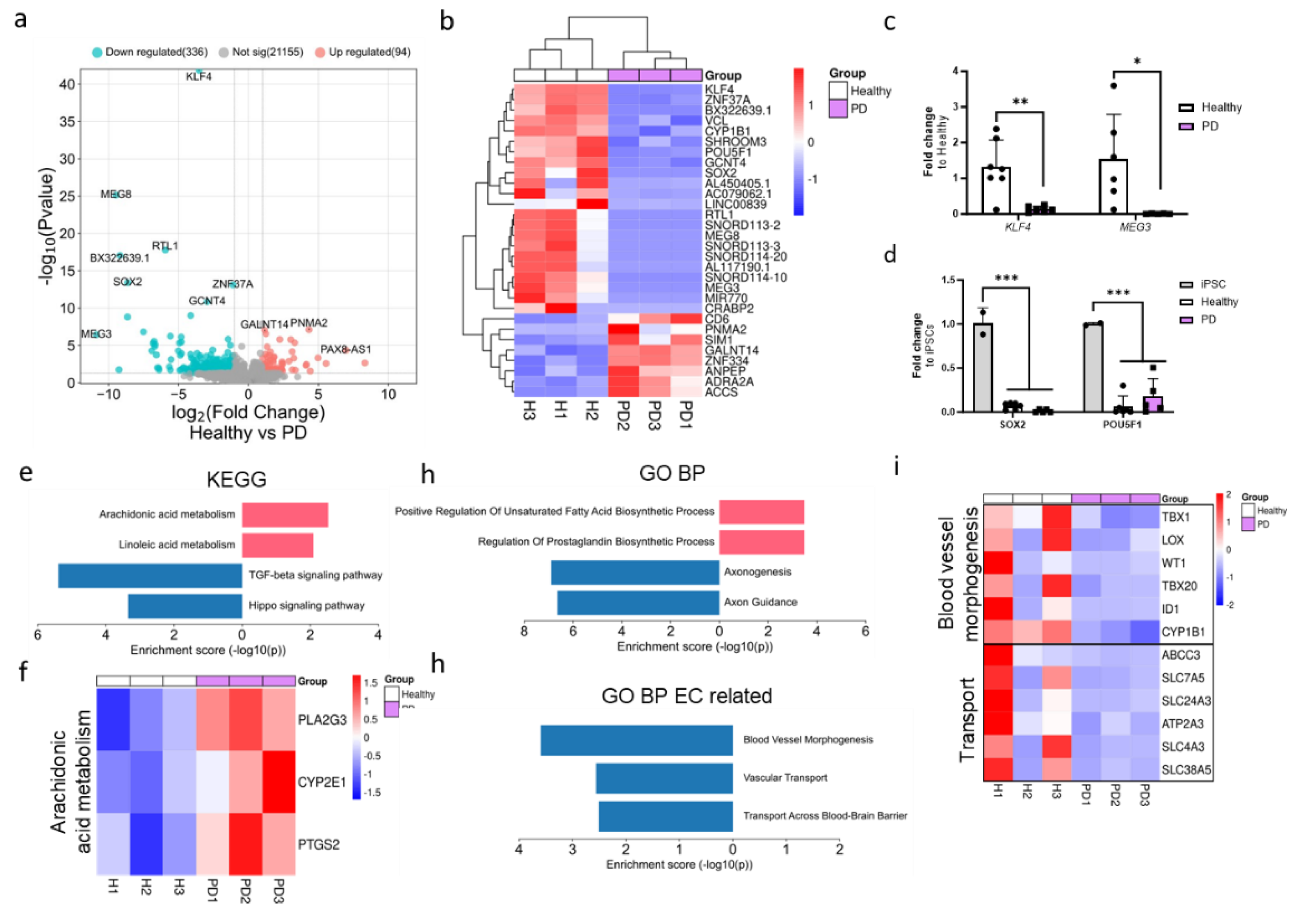 Preprints 120472 g002