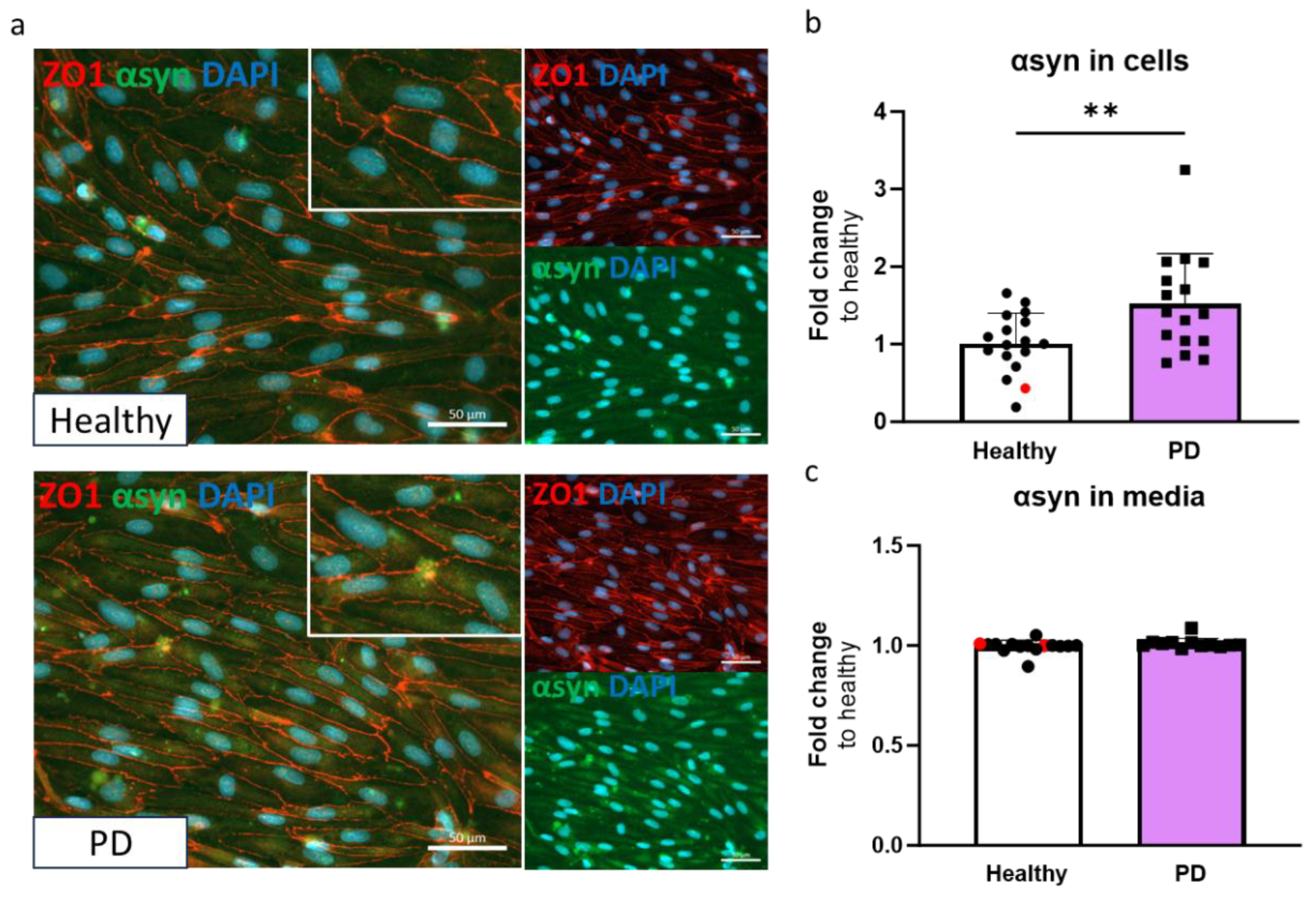 Preprints 120472 g003