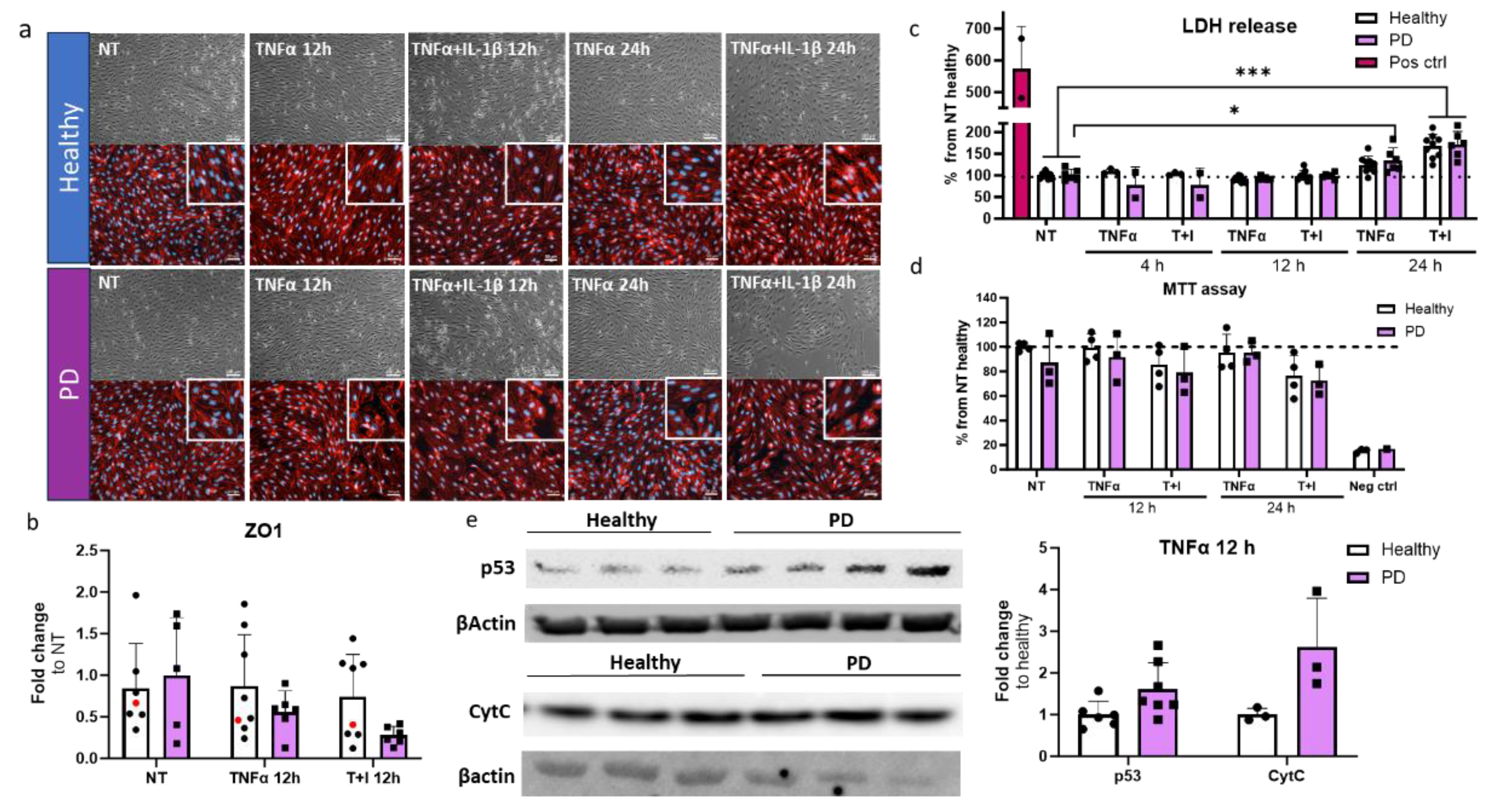 Preprints 120472 g006