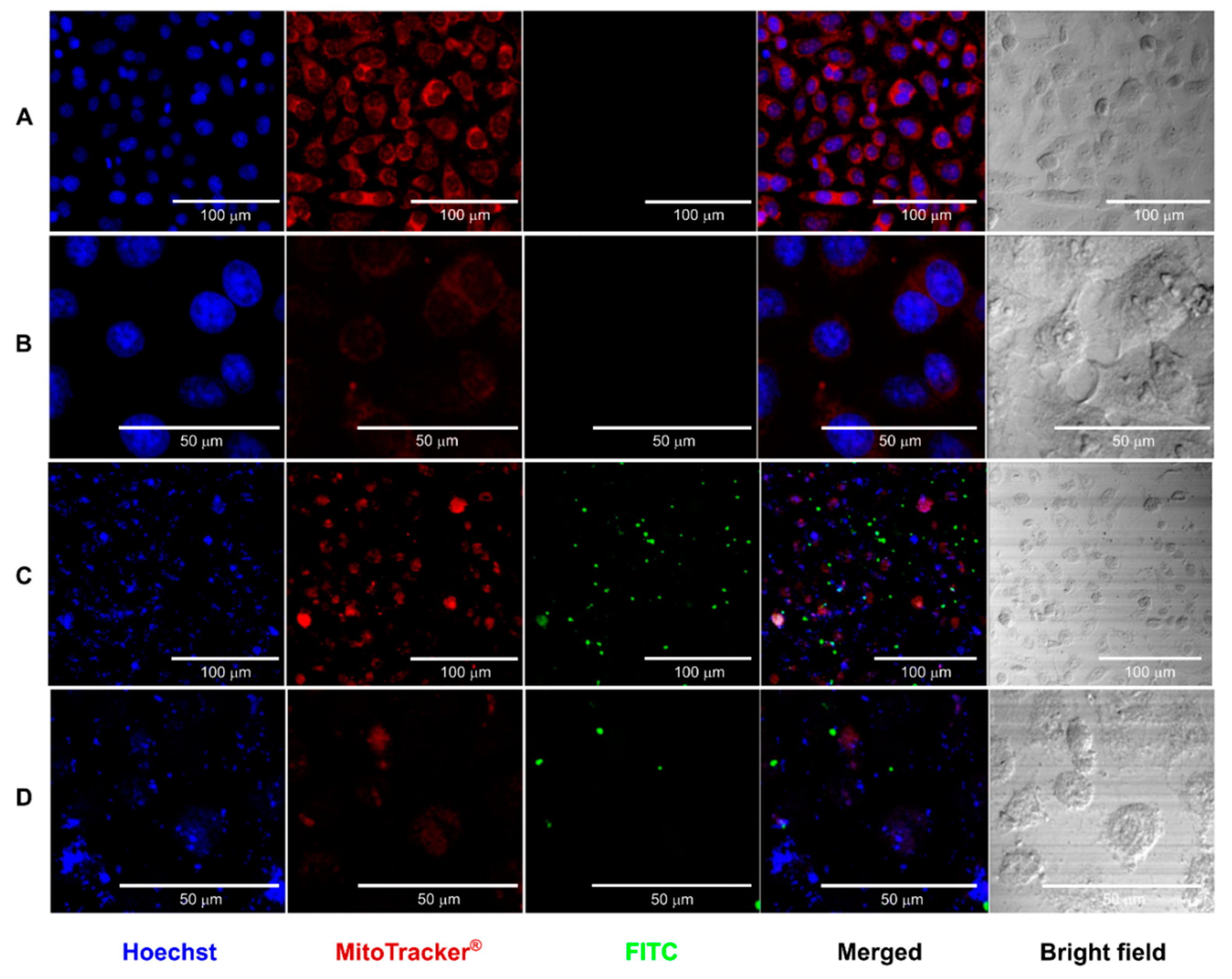 Preprints 119884 g005