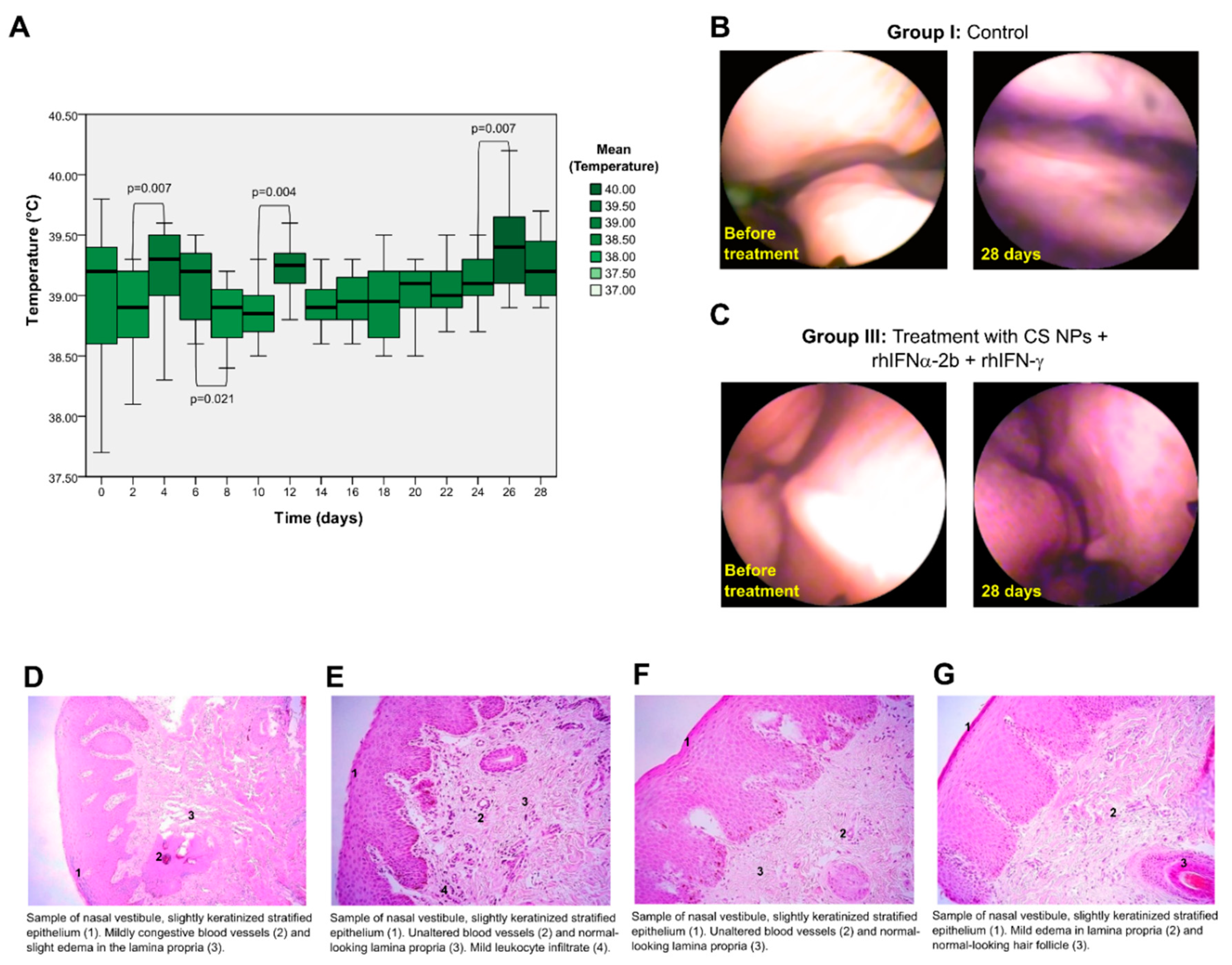 Preprints 119884 g008