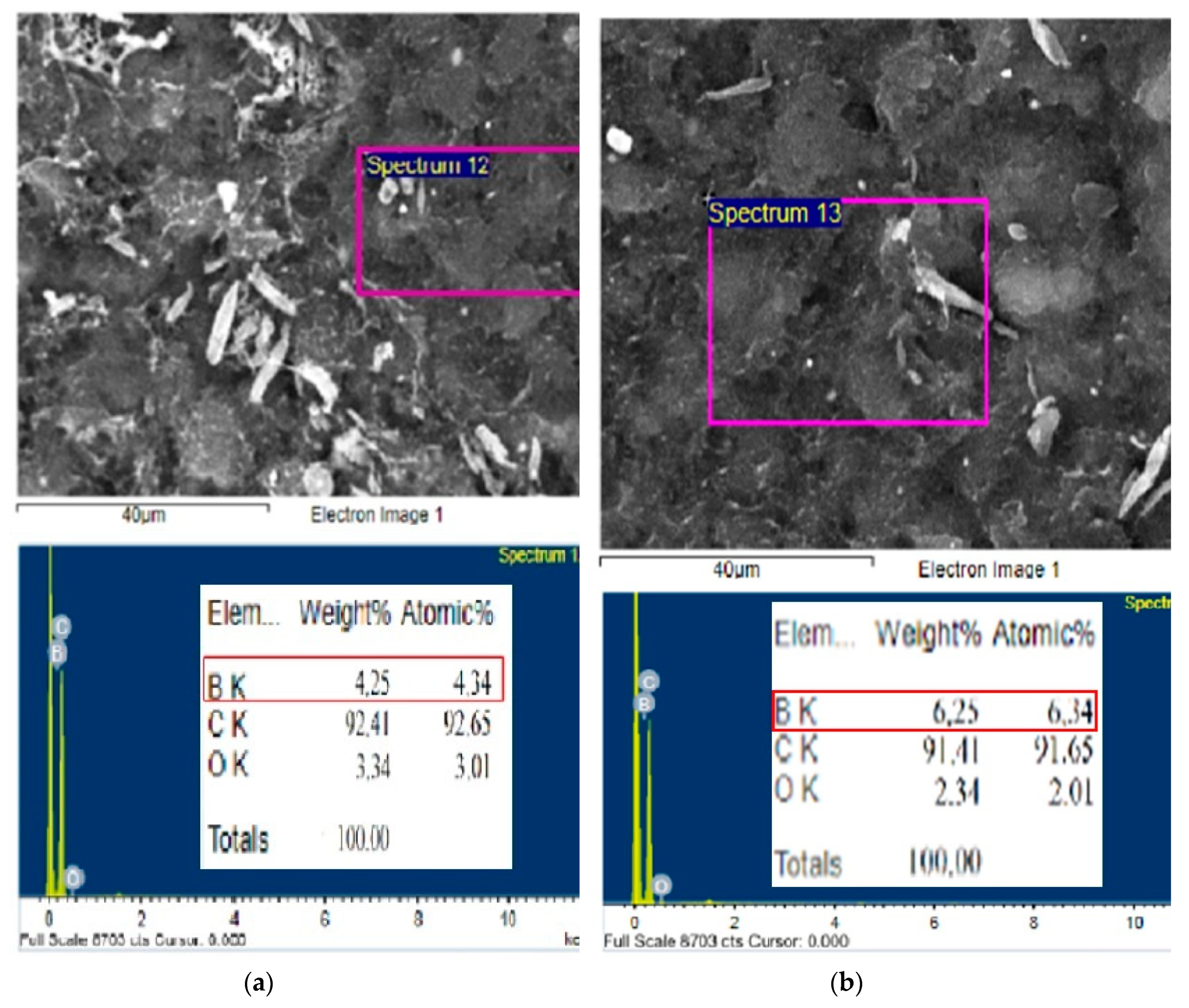 Preprints 81693 g005a