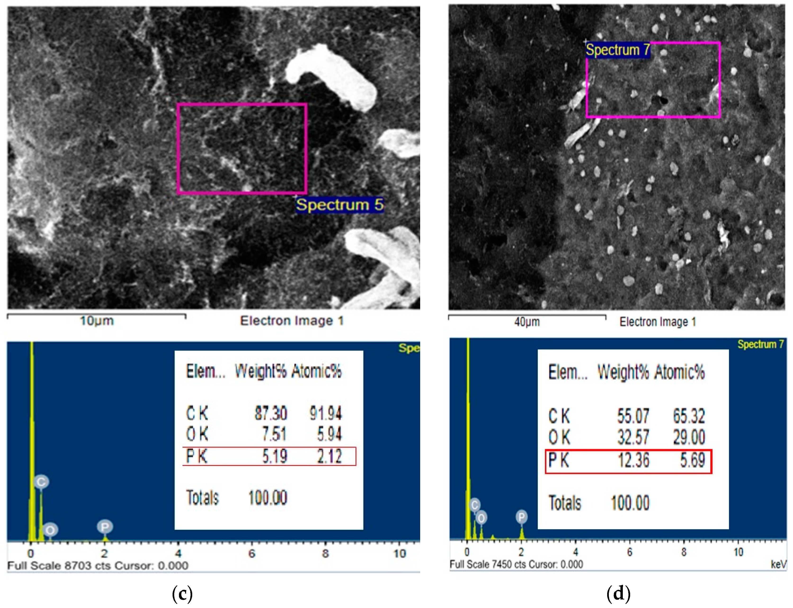 Preprints 81693 g005b