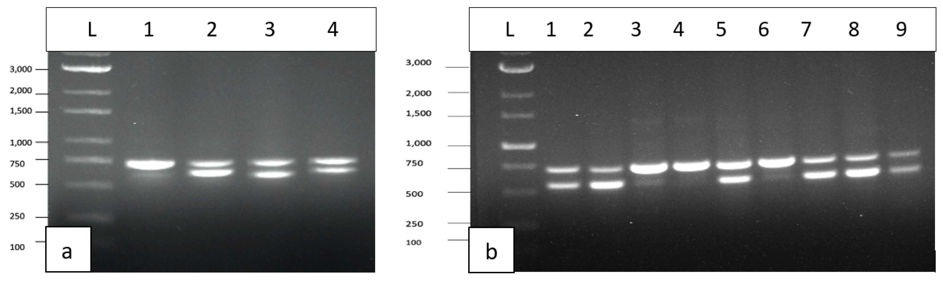 Preprints 89006 g002