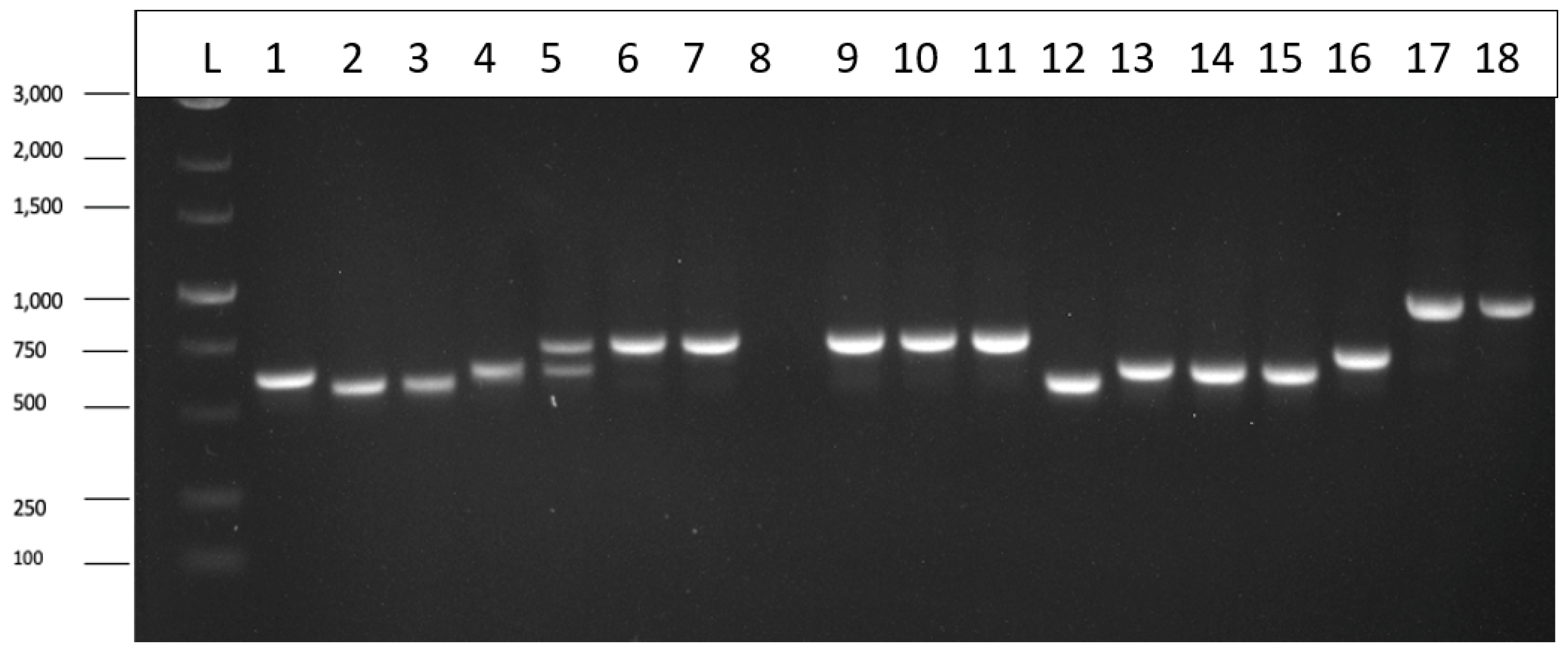 Preprints 89006 g003