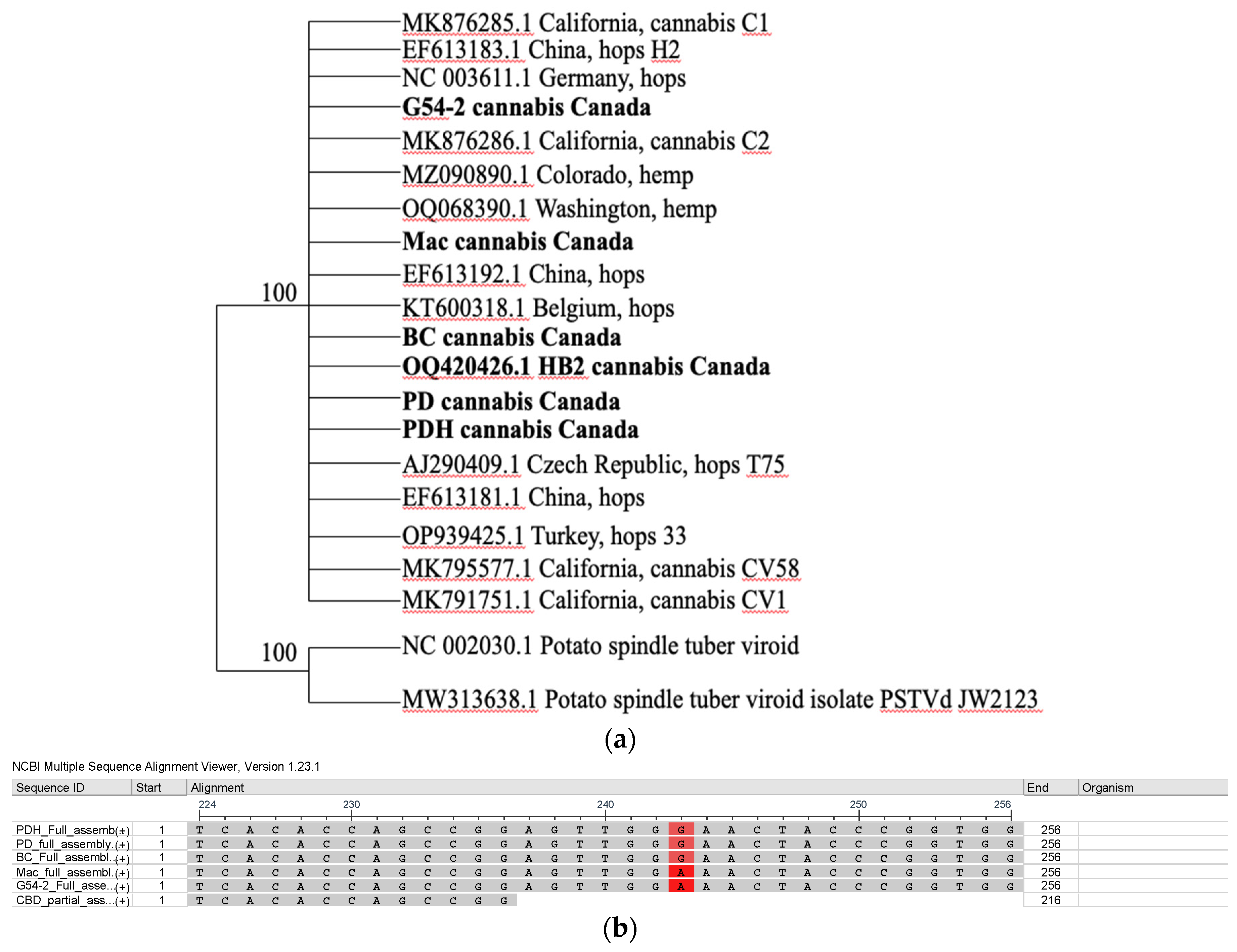 Preprints 89006 g011