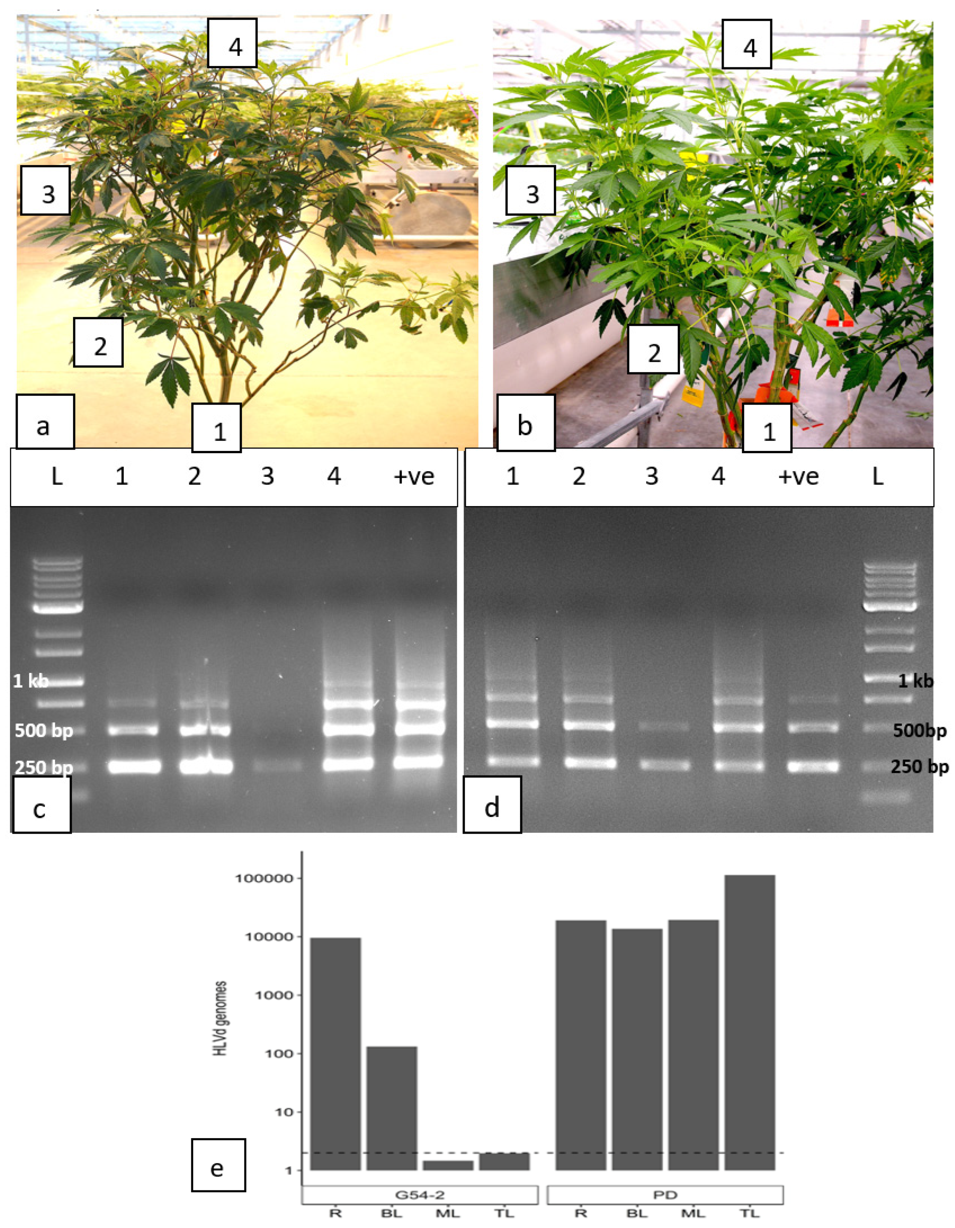 Preprints 89006 g014