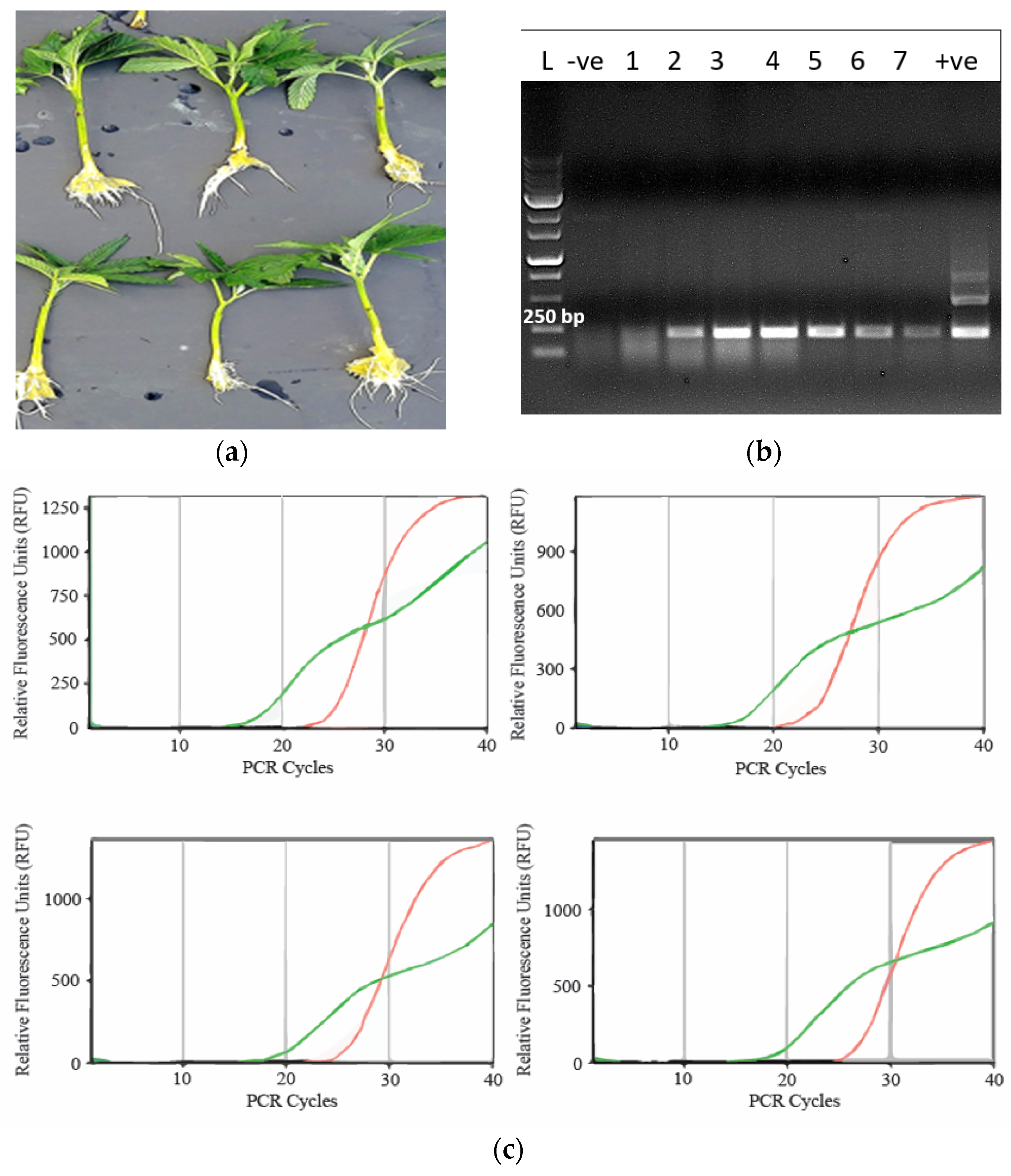 Preprints 89006 g016