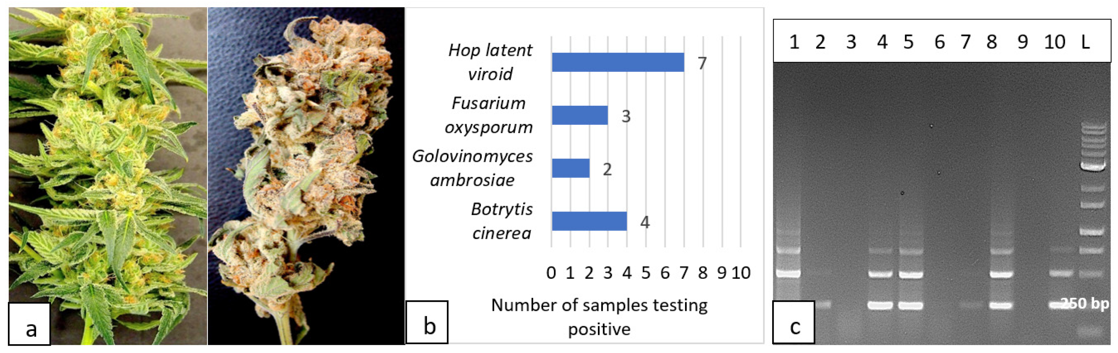 Preprints 89006 g017