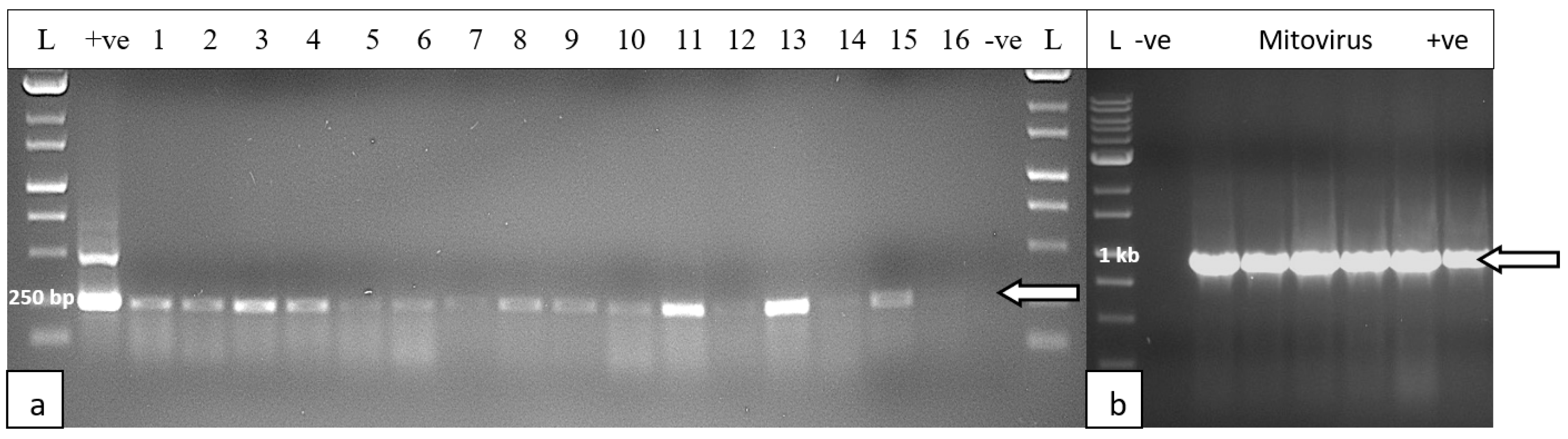 Preprints 89006 g018